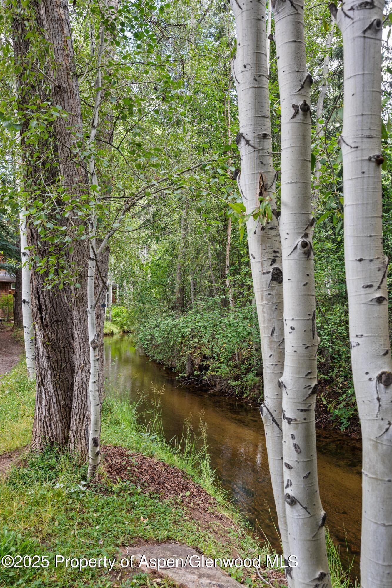 440 Alpine Court, Aspen, CO 81611 - Photo 33
