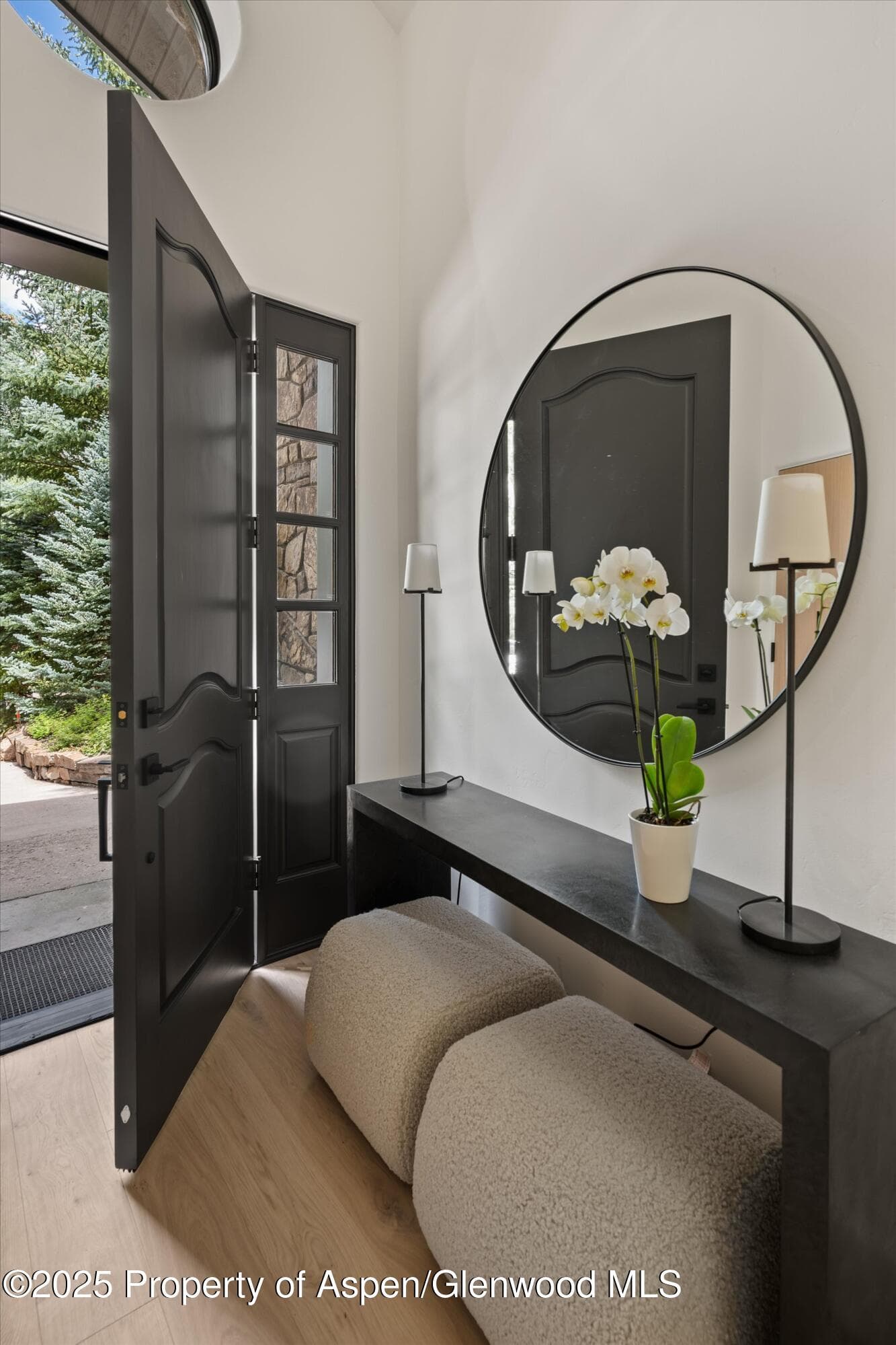 440 Alpine Court, Aspen, CO 81611 - Photo 2