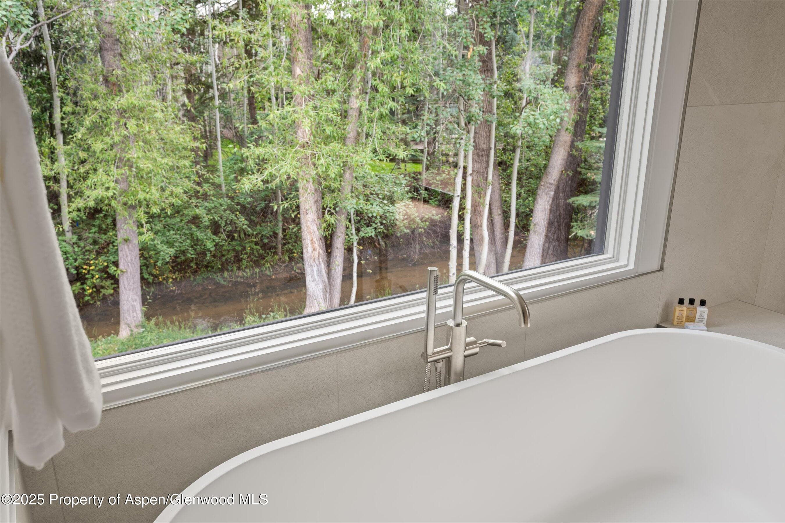 440 Alpine Court, Aspen, CO 81611 - Photo 19