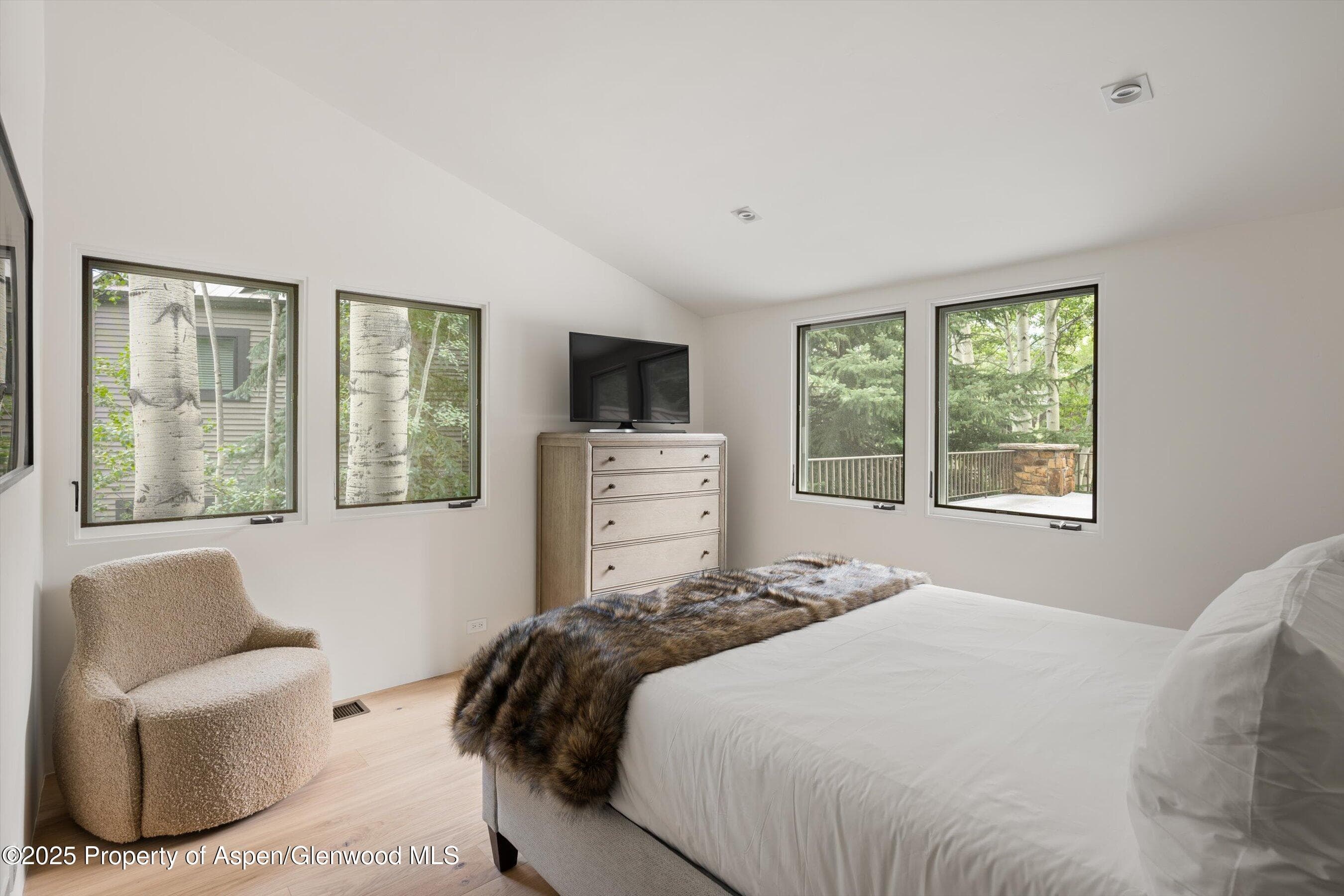 440 Alpine Court, Aspen, CO 81611 - Photo 26