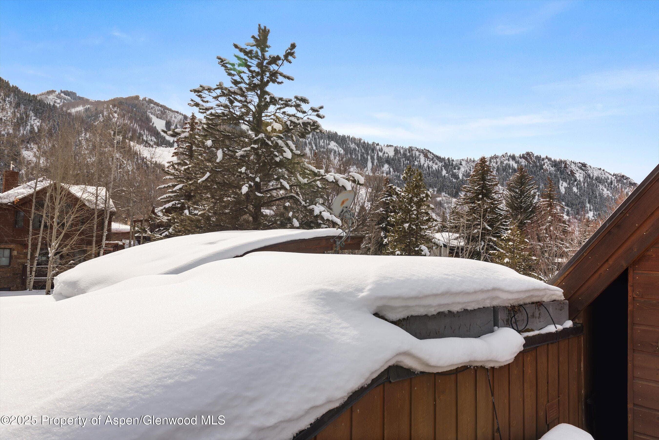 1016 E HOPKINS Avenue, Aspen, CO 81611 - Photo 69