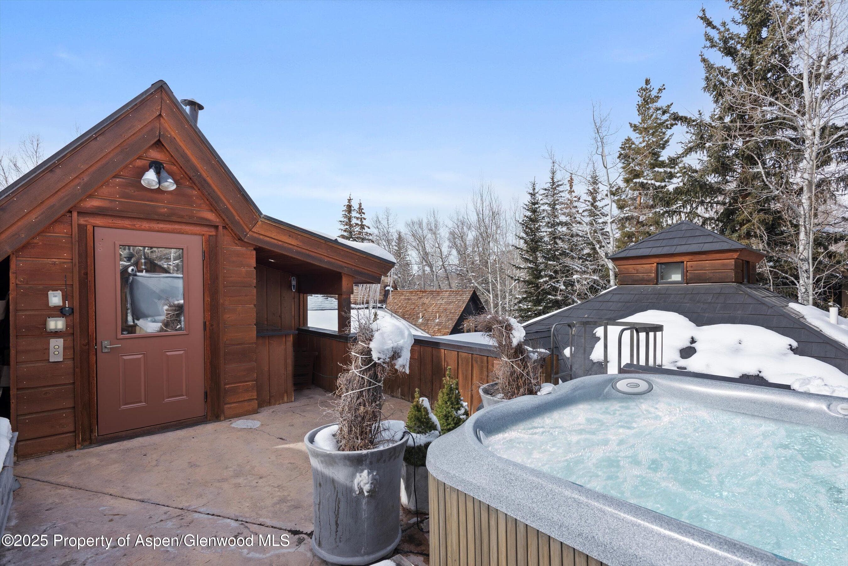 1016 E HOPKINS Avenue, Aspen, CO 81611 - Photo 3