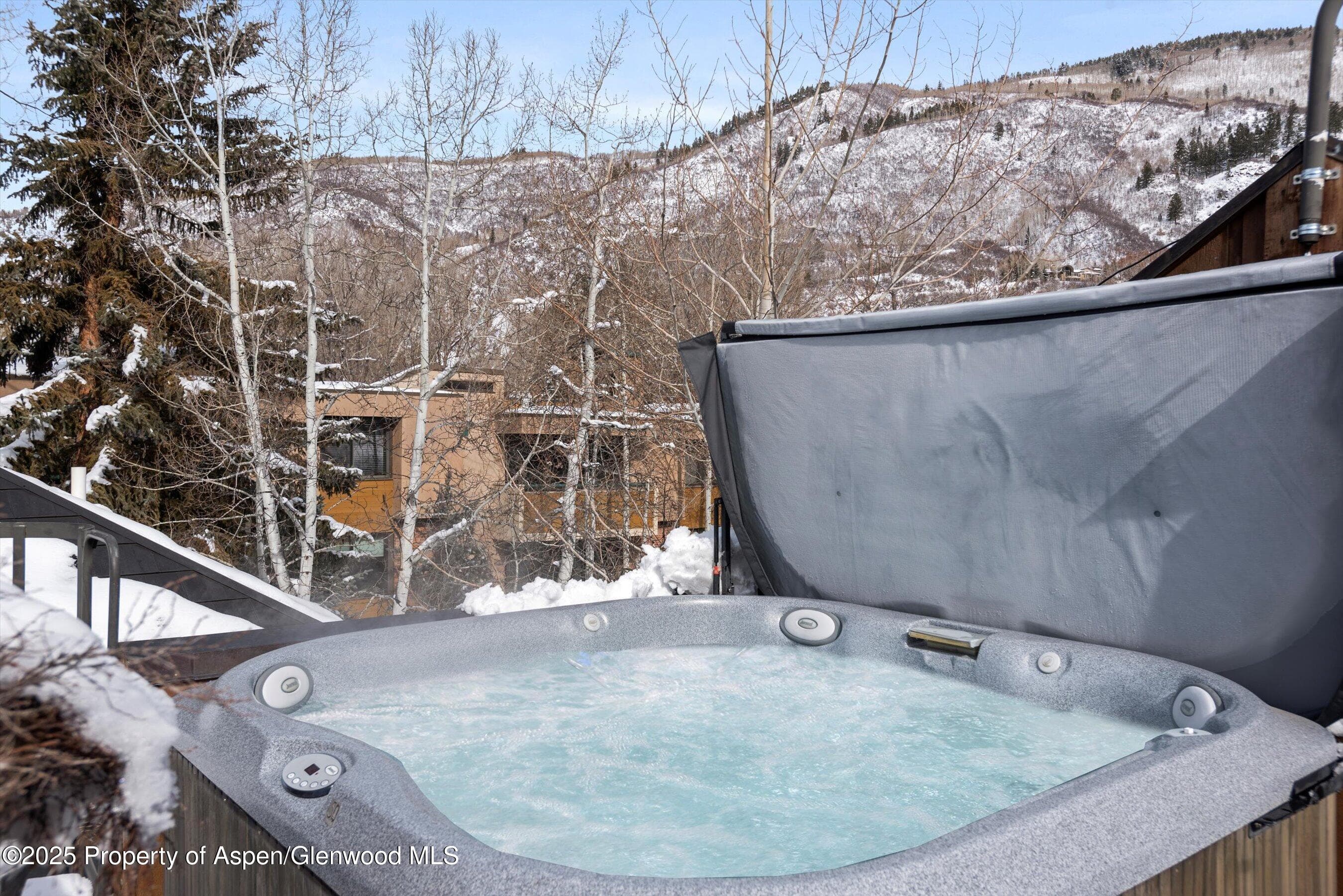 1016 E HOPKINS Avenue, Aspen, CO 81611 - Photo 71