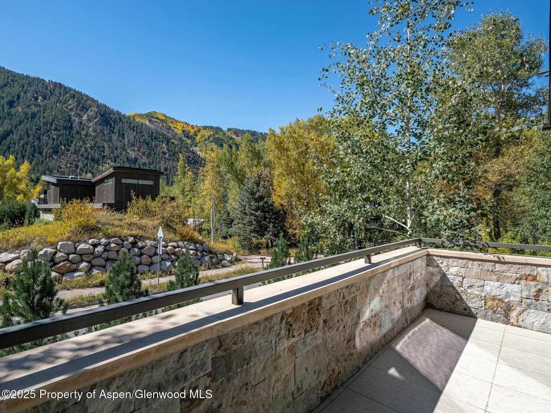 1154 E Cooper Avenue, Aspen, CO 81611 - Photo 7