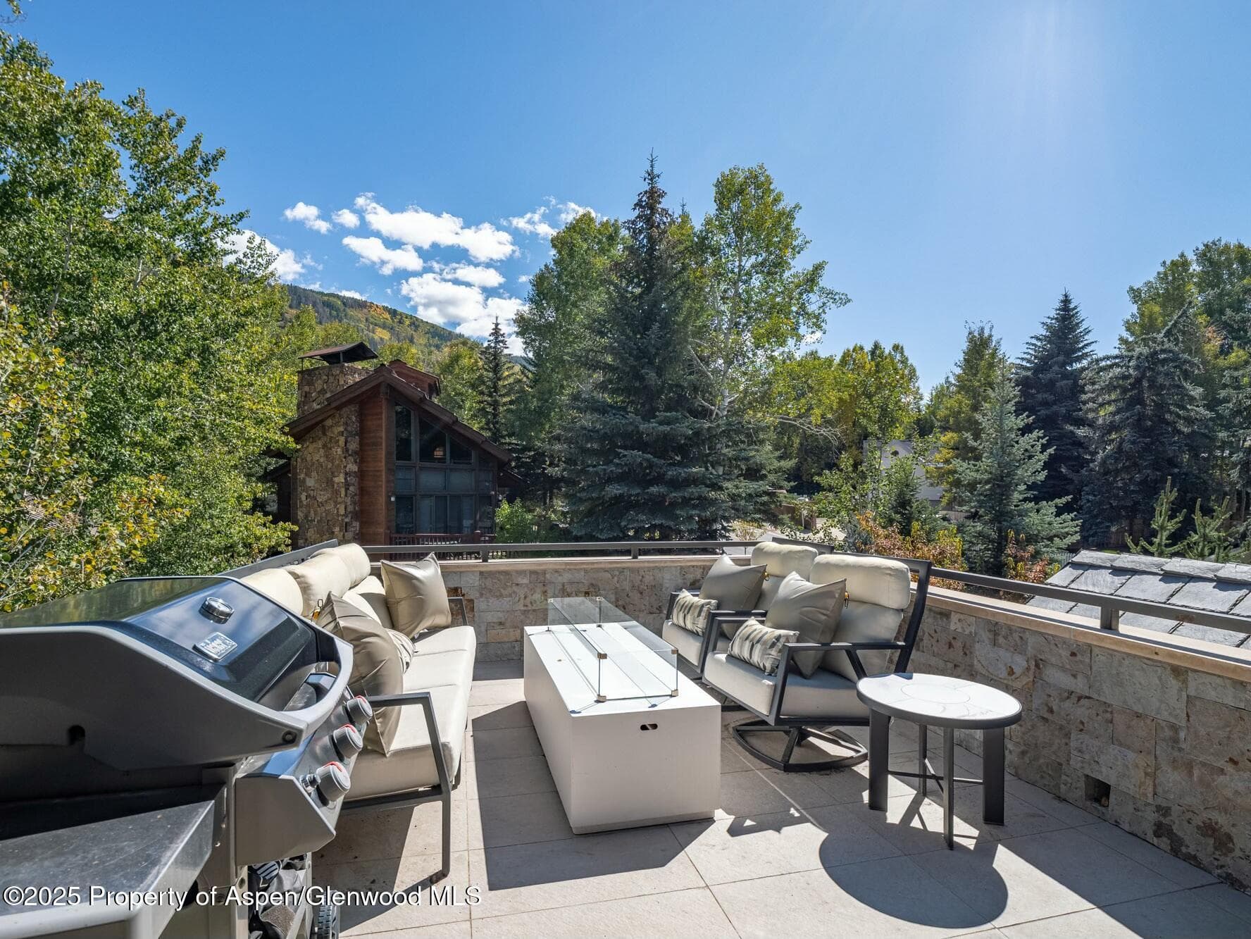 1154 E Cooper Avenue, Aspen, CO 81611 - Photo 11