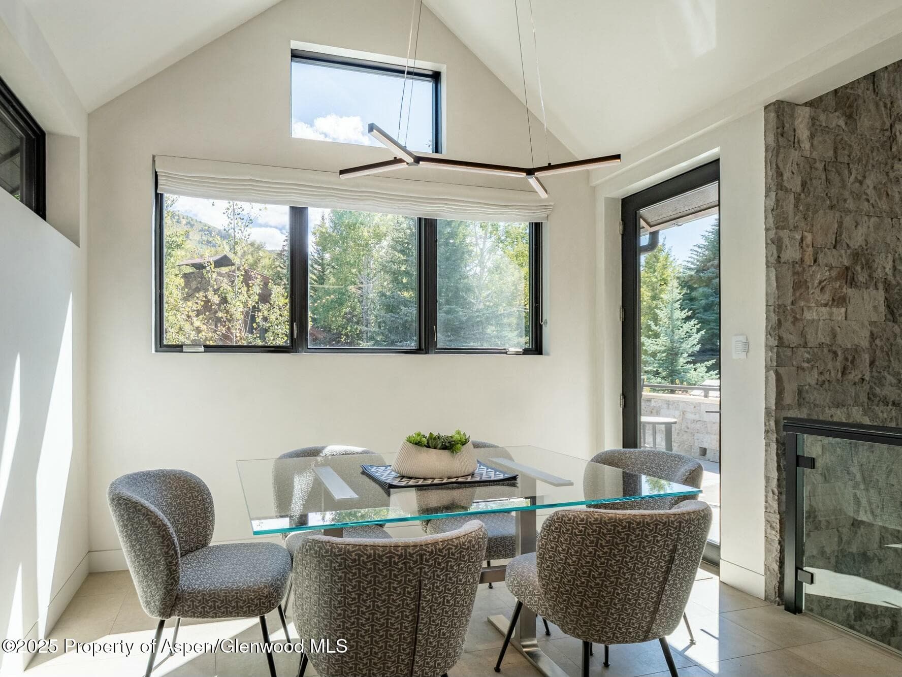 1154 E Cooper Avenue, Aspen, CO 81611 - Photo 10