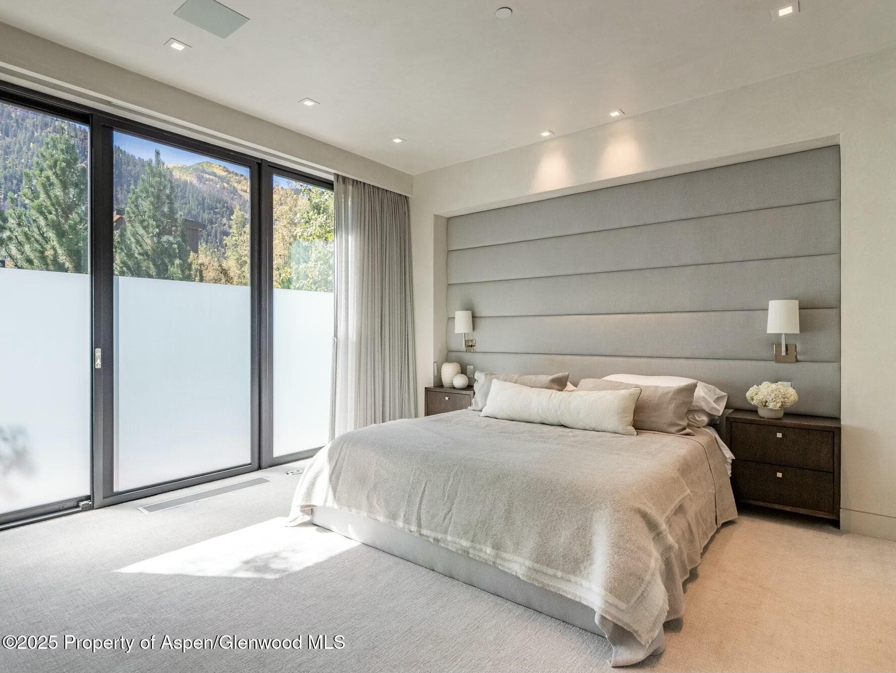 1154 E Cooper Avenue, Aspen, CO 81611 - Photo 12