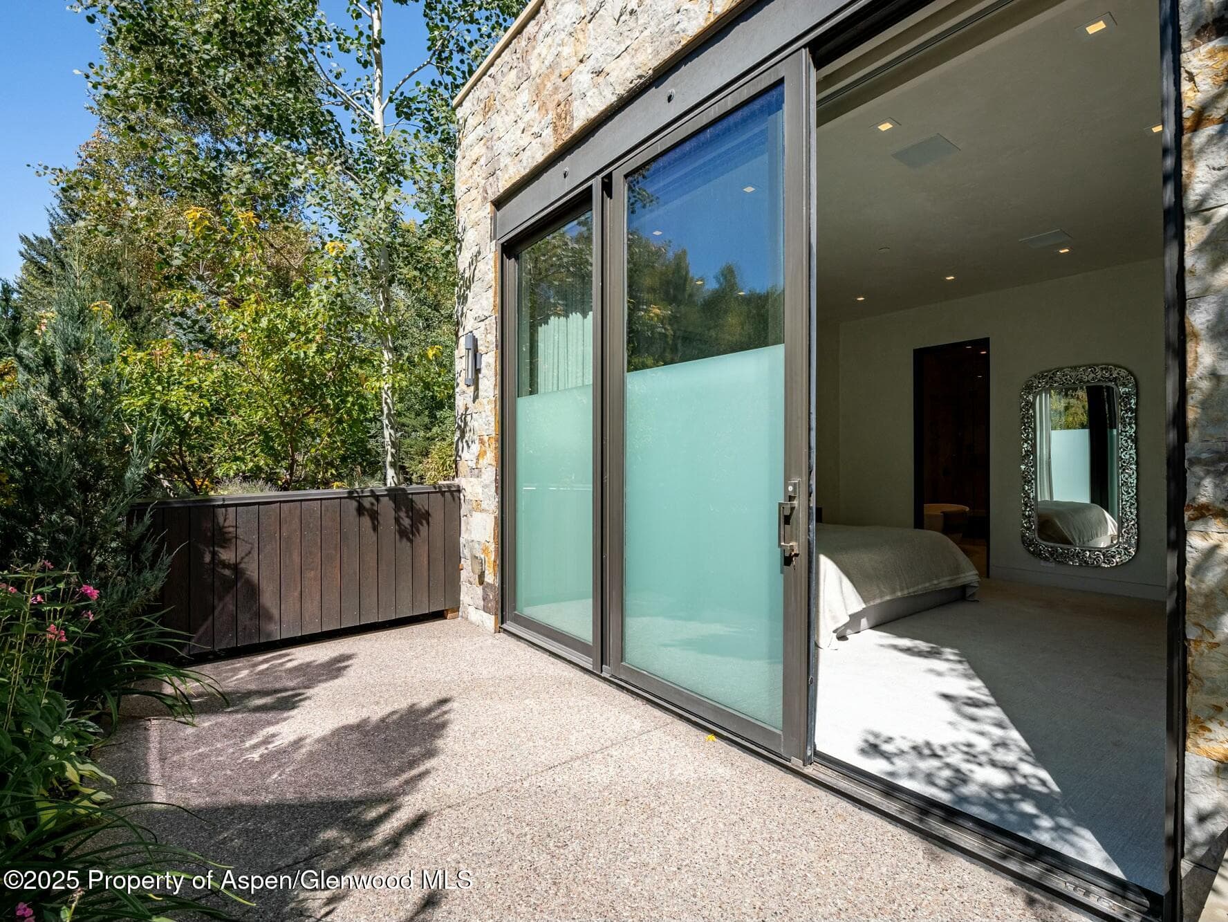 1154 E Cooper Avenue, Aspen, CO 81611 - Photo 14