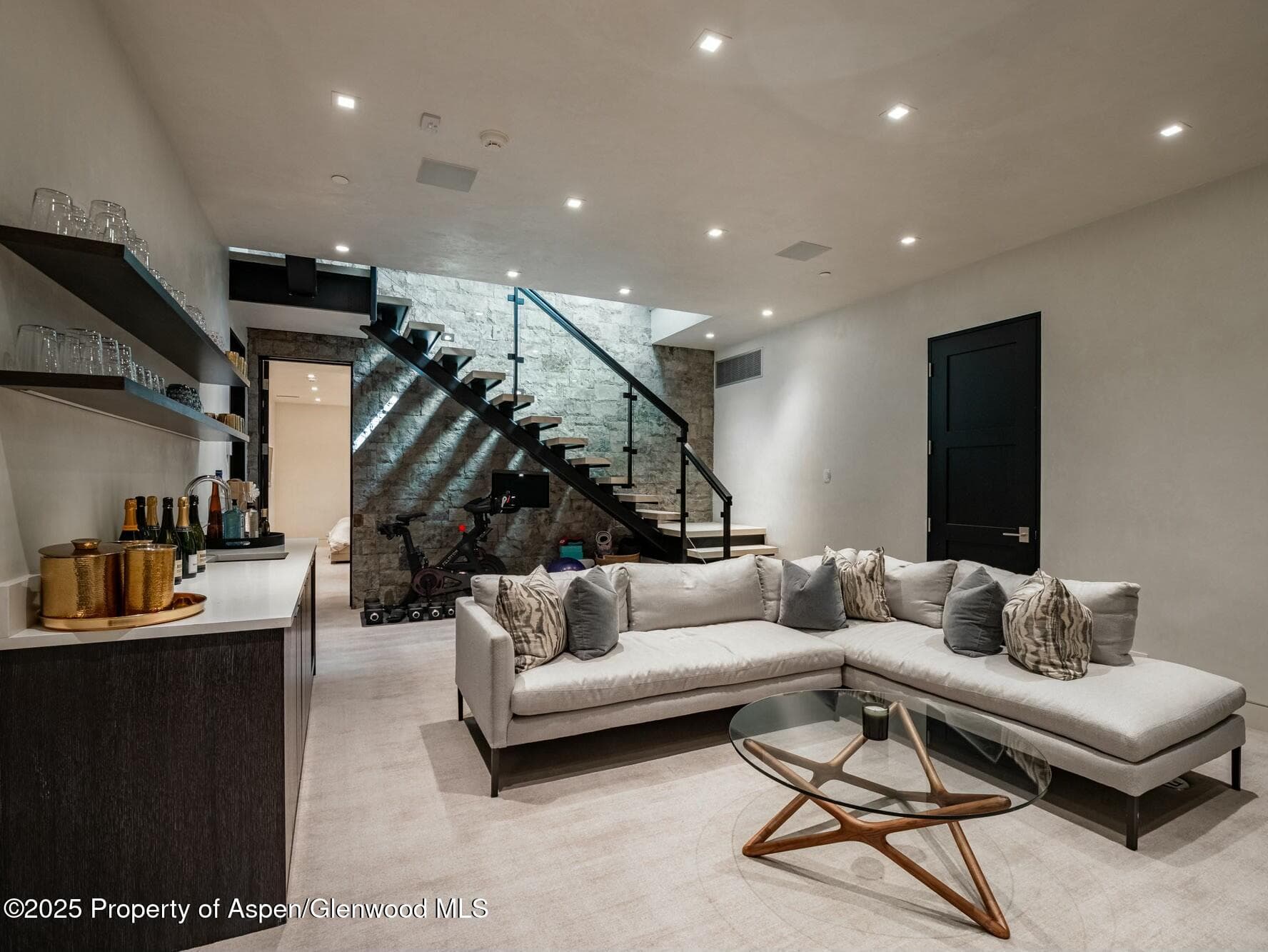 1154 E Cooper Avenue, Aspen, CO 81611 - Photo 25