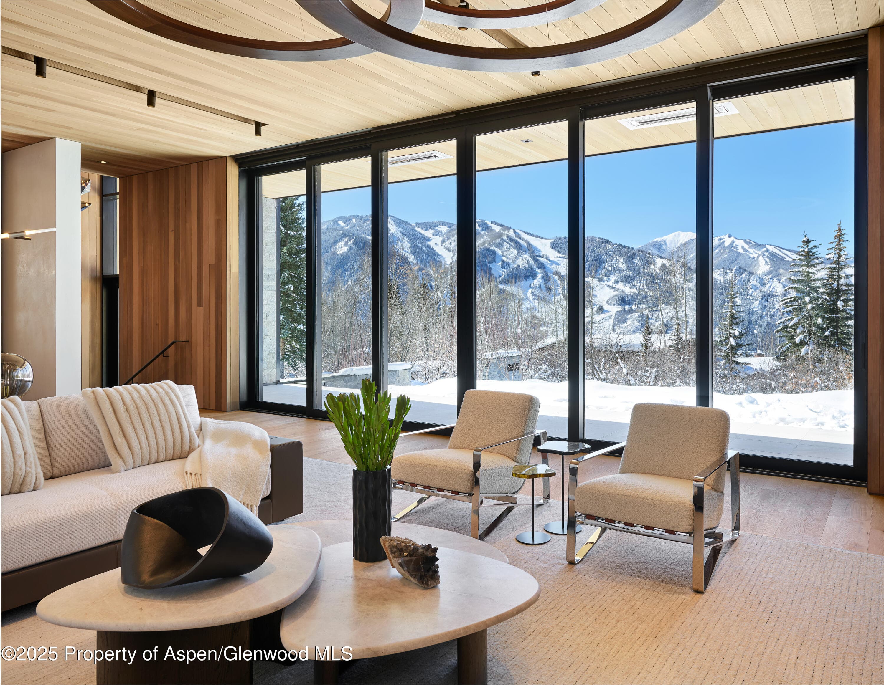 395 E Reds Road, Aspen, CO 81611 - Photo 5
