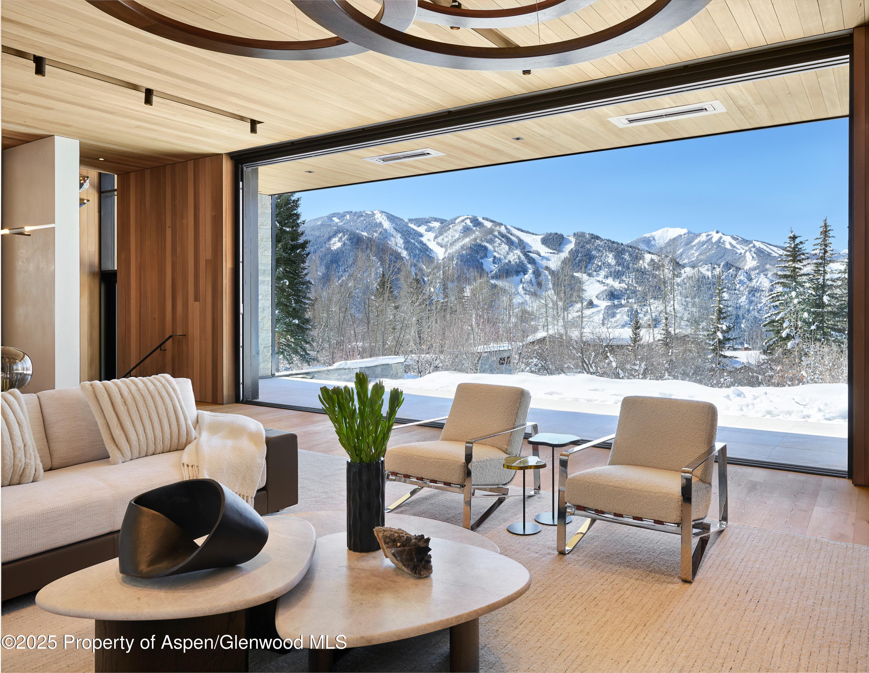 395 E Reds Road, Aspen, CO 81611 - Photo 6