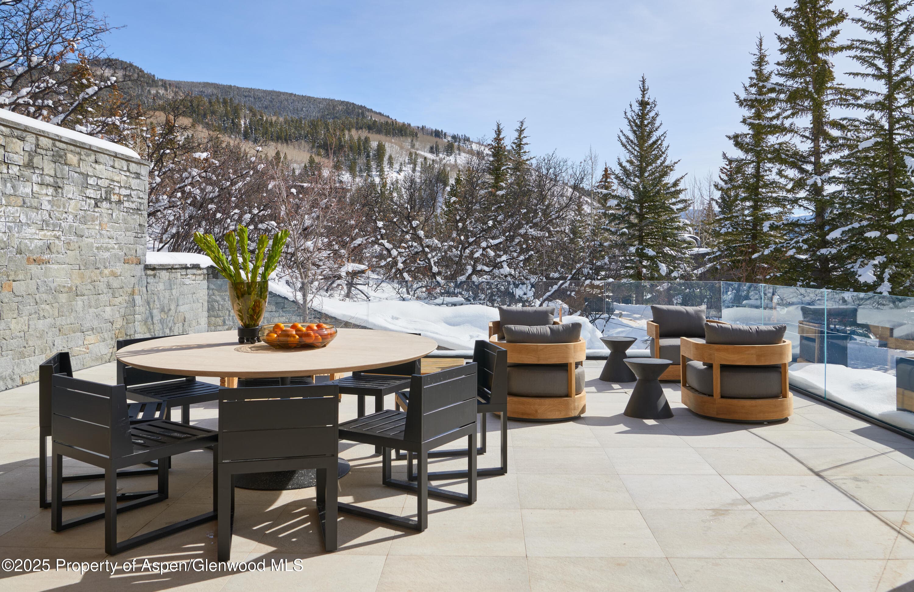 395 E Reds Road, Aspen, CO 81611 - Photo 14