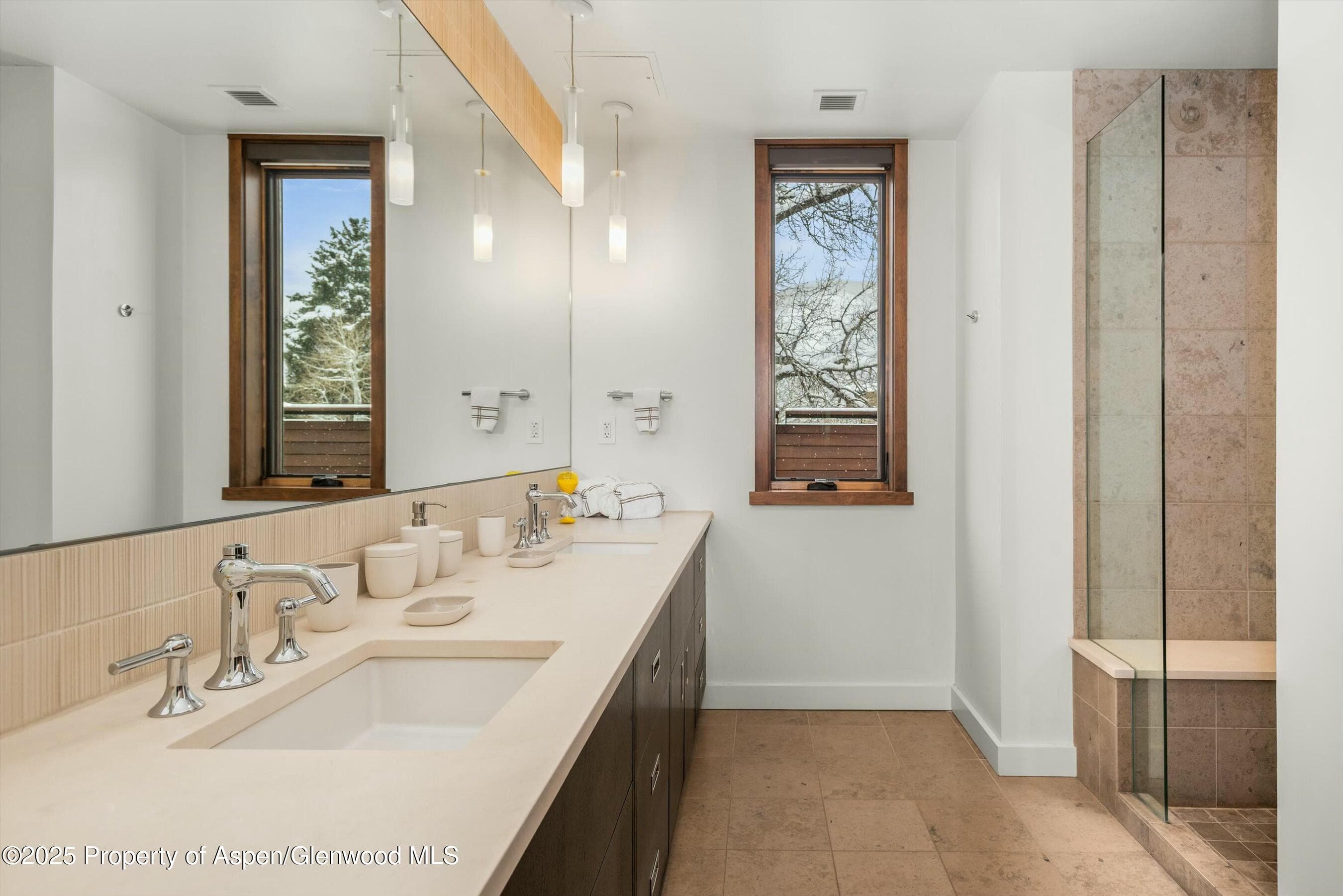 233 E Cooper Avenue 301, Aspen, CO 81611 - Photo 23
