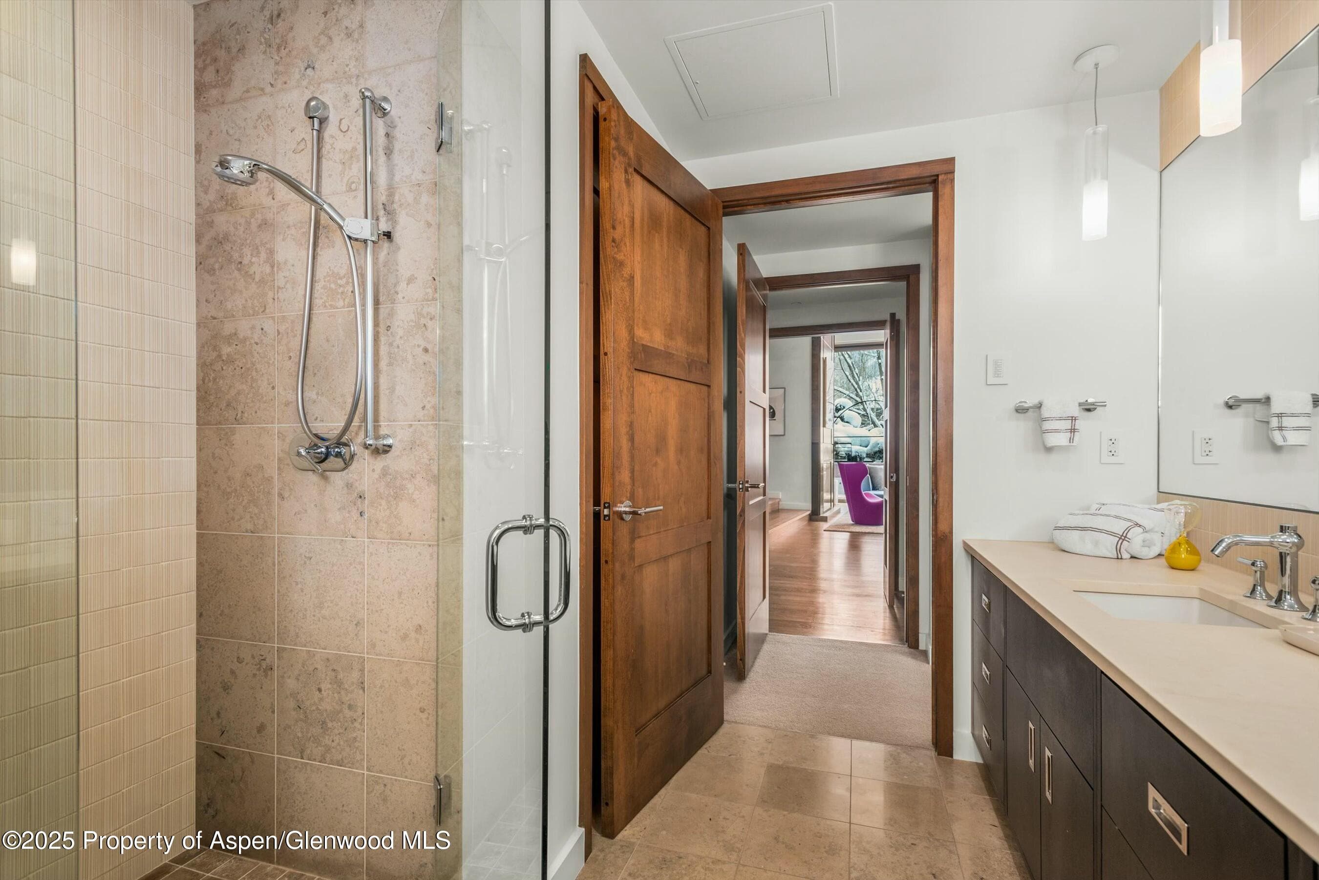 233 E Cooper Avenue 301, Aspen, CO 81611 - Photo 21
