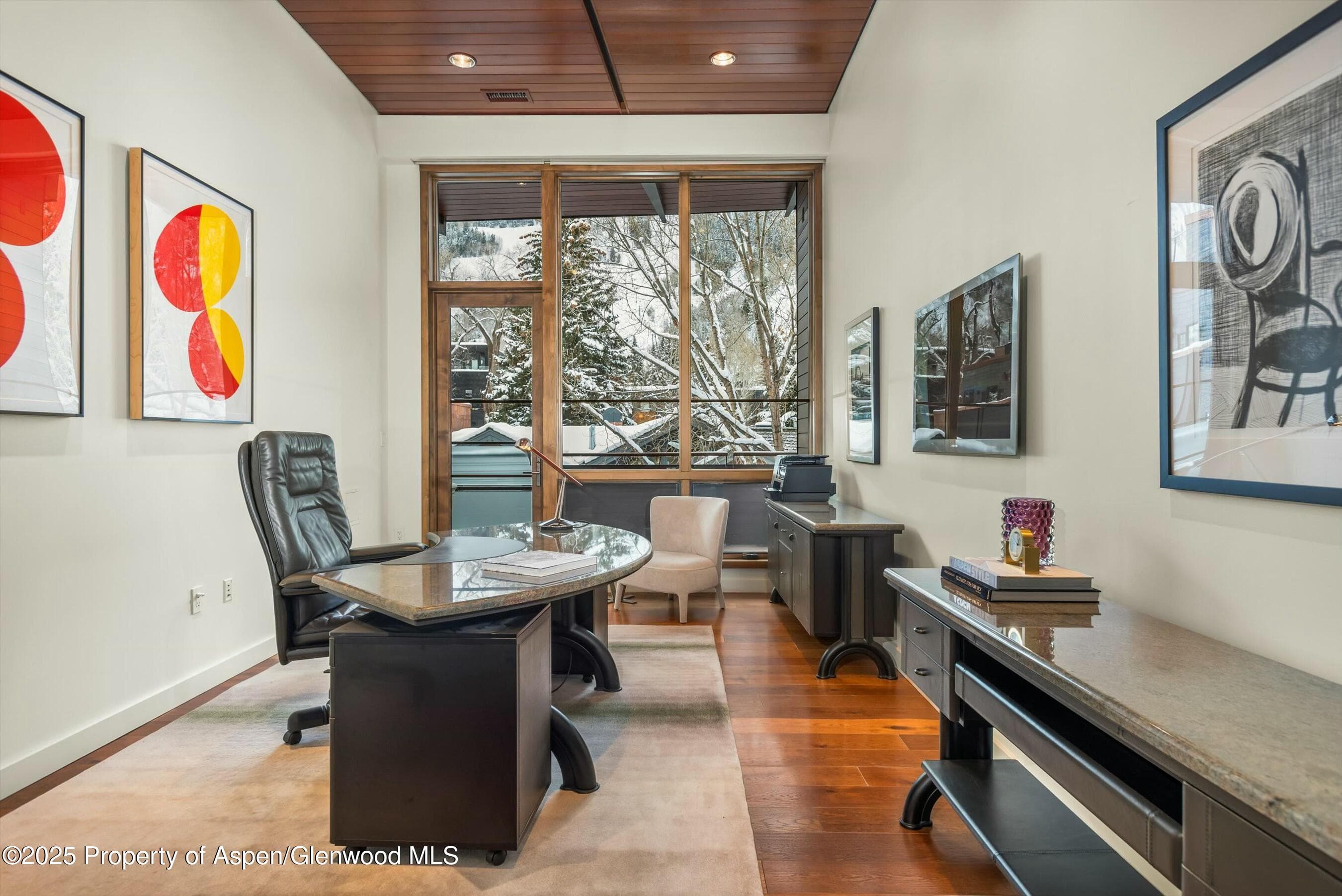 233 E Cooper Avenue 301, Aspen, CO 81611 - Photo 17