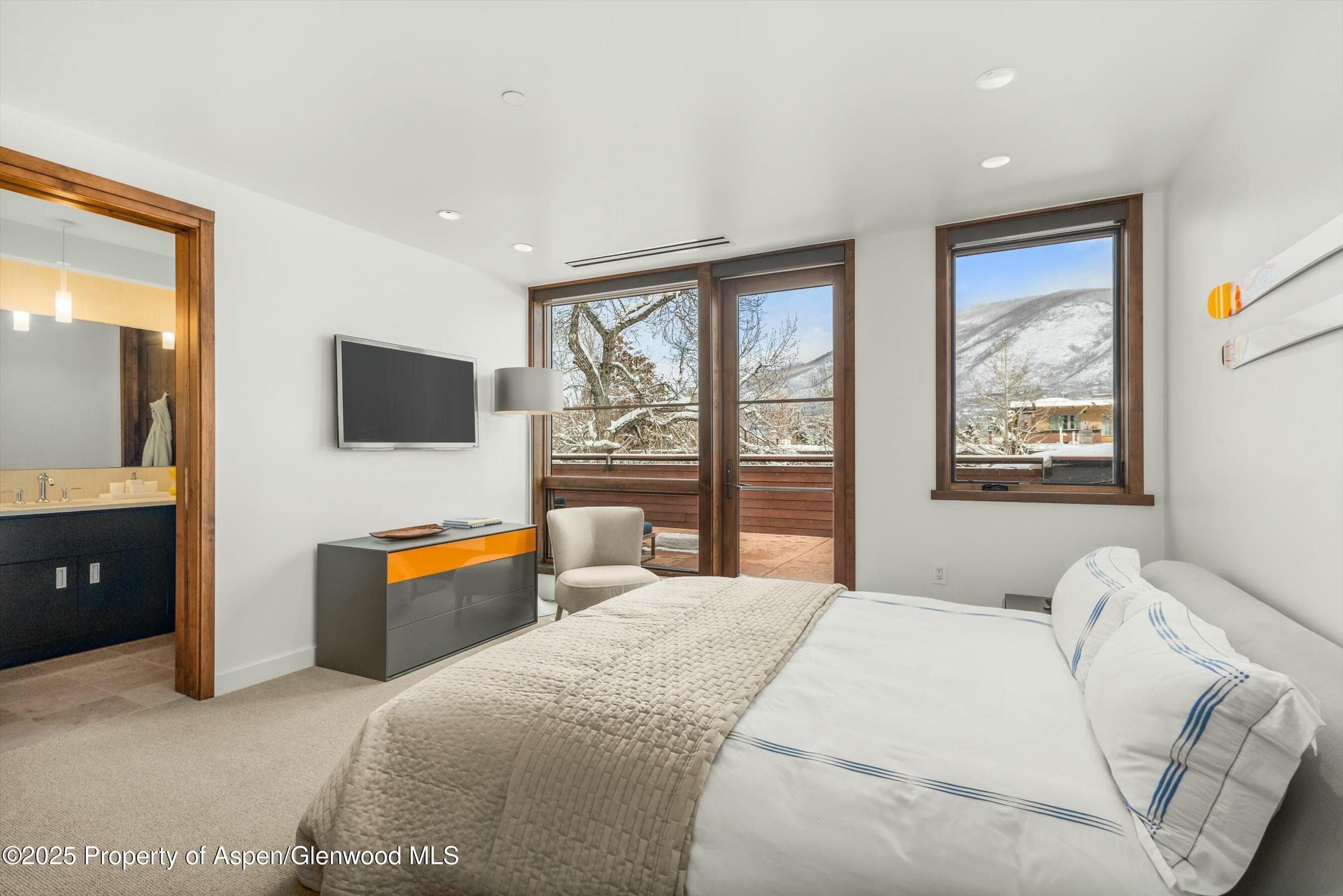 233 E Cooper Avenue 301, Aspen, CO 81611 - Photo 20