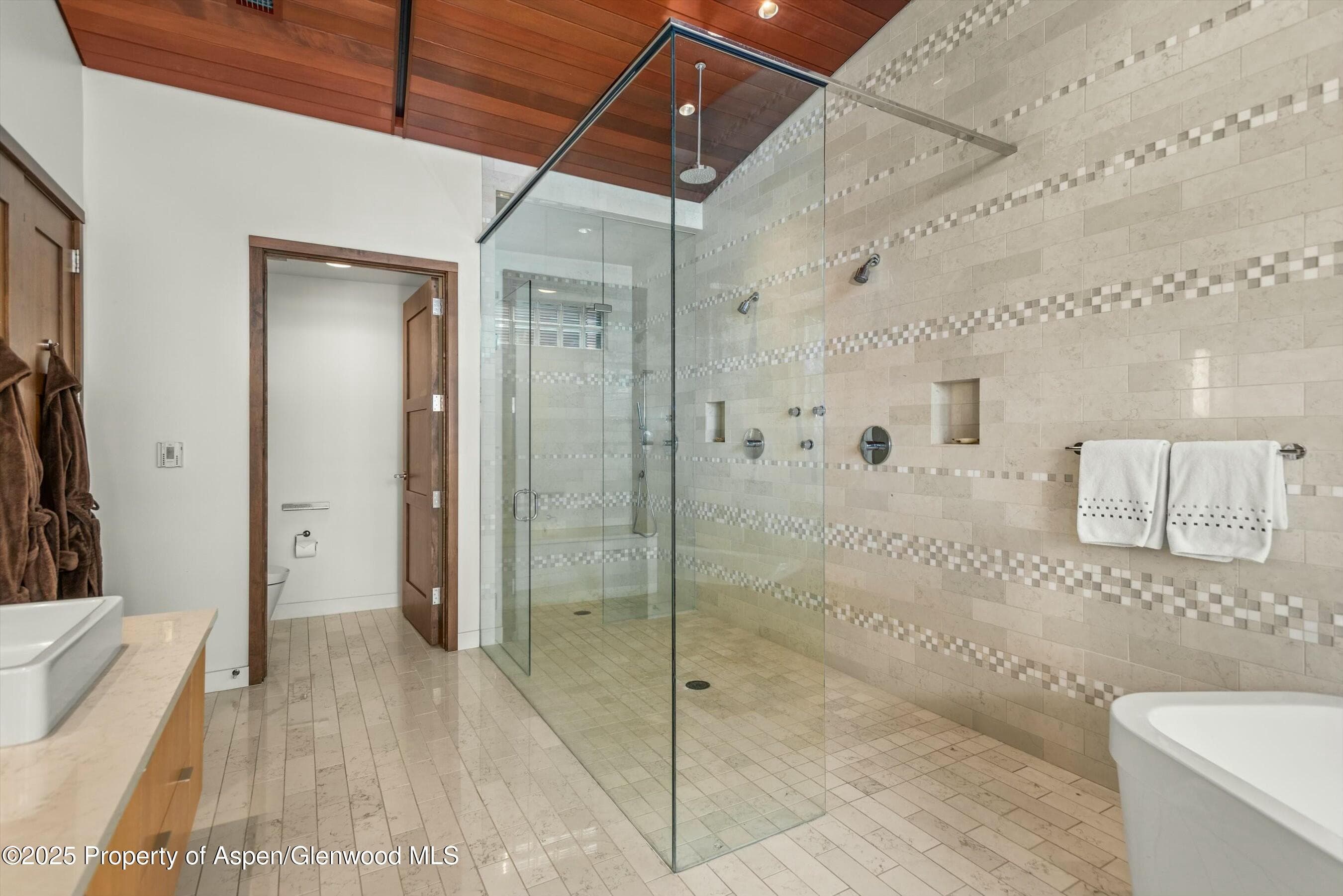 233 E Cooper Avenue 301, Aspen, CO 81611 - Photo 16
