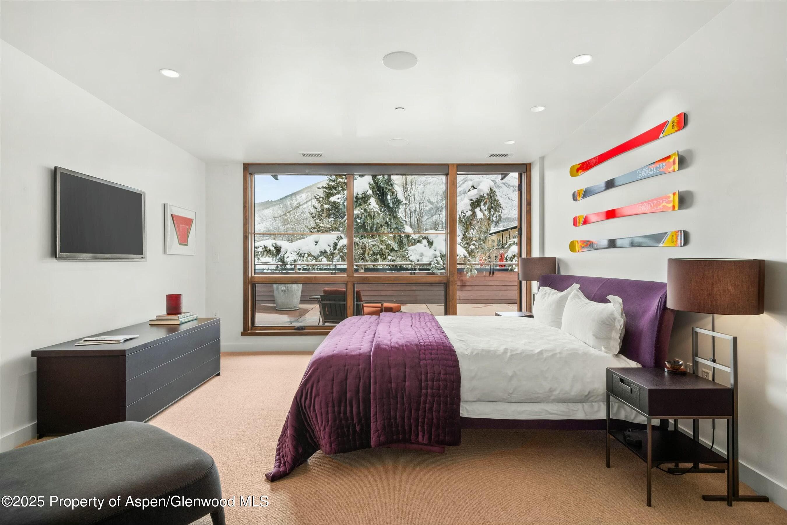 233 E Cooper Avenue 301, Aspen, CO 81611 - Photo 18