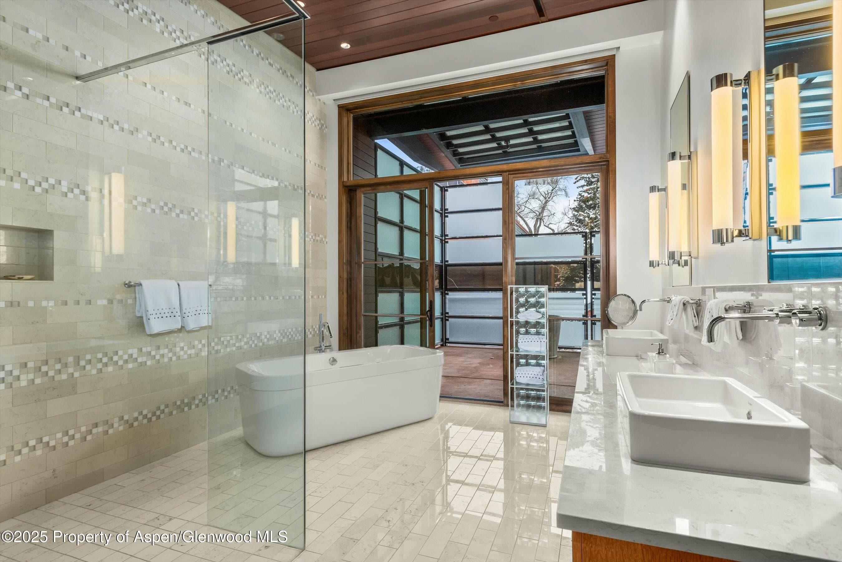 233 E Cooper Avenue 301, Aspen, CO 81611 - Photo 15
