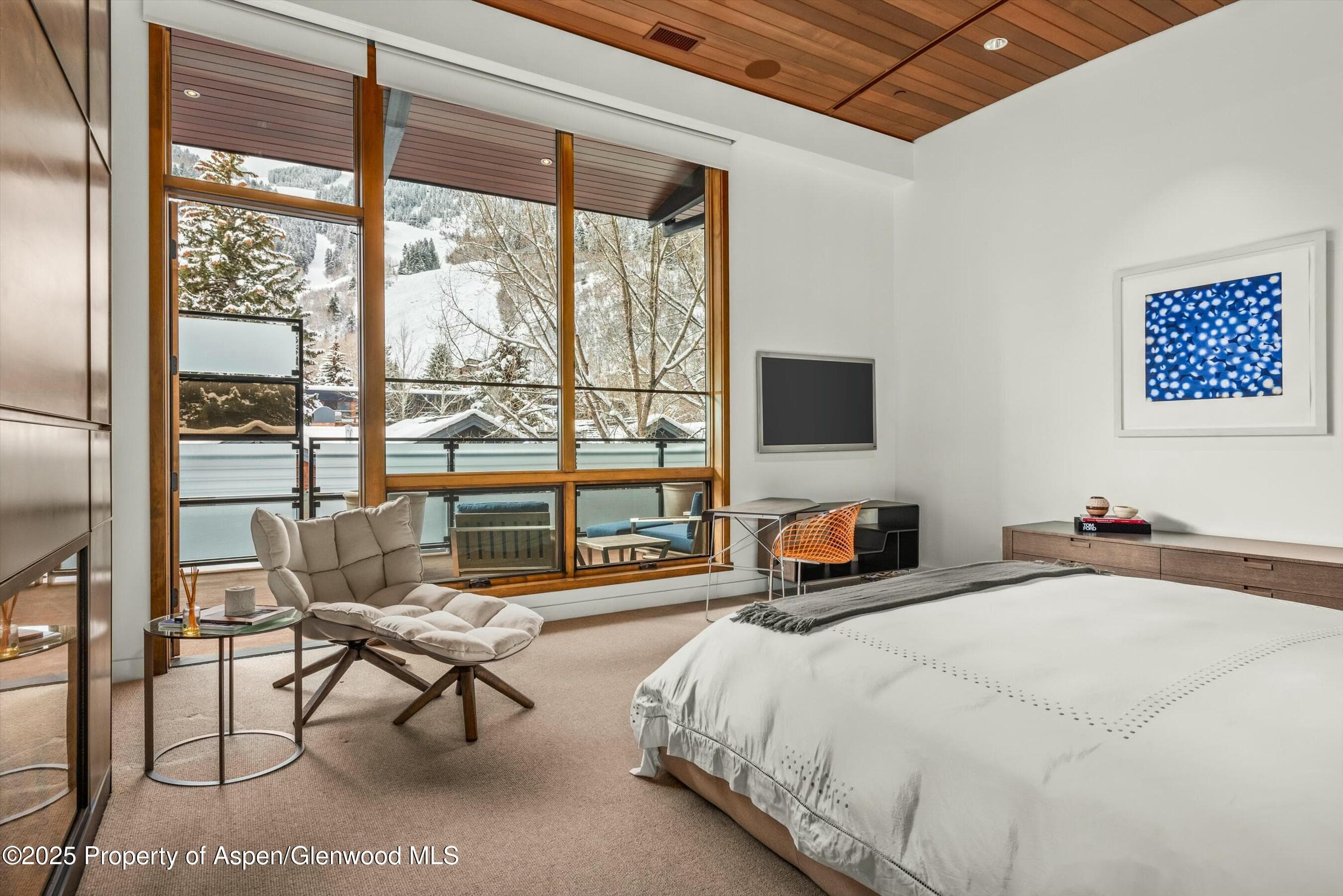 233 E Cooper Avenue 301, Aspen, CO 81611 - Photo 14
