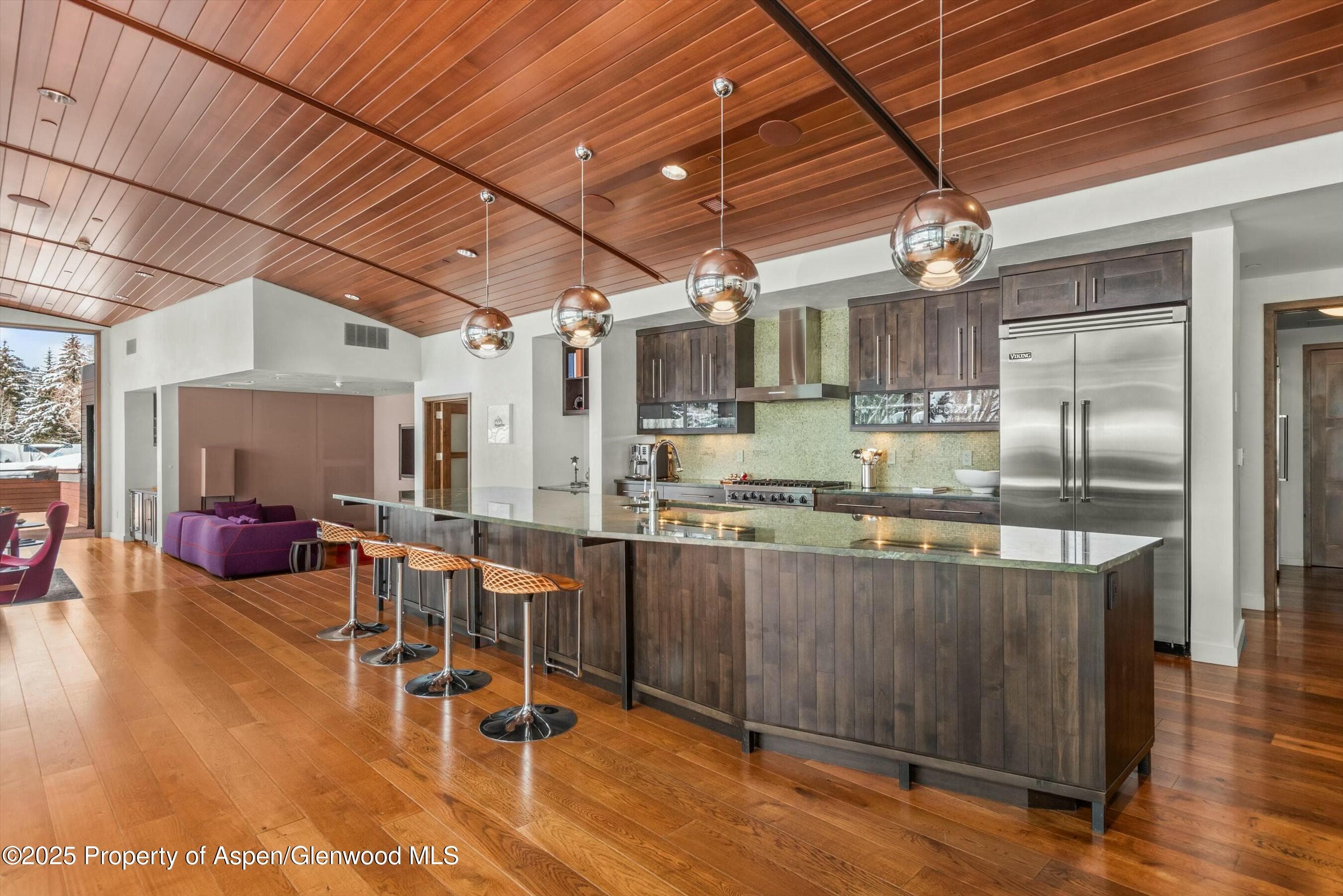 233 E Cooper Avenue 301, Aspen, CO 81611 - Photo 5