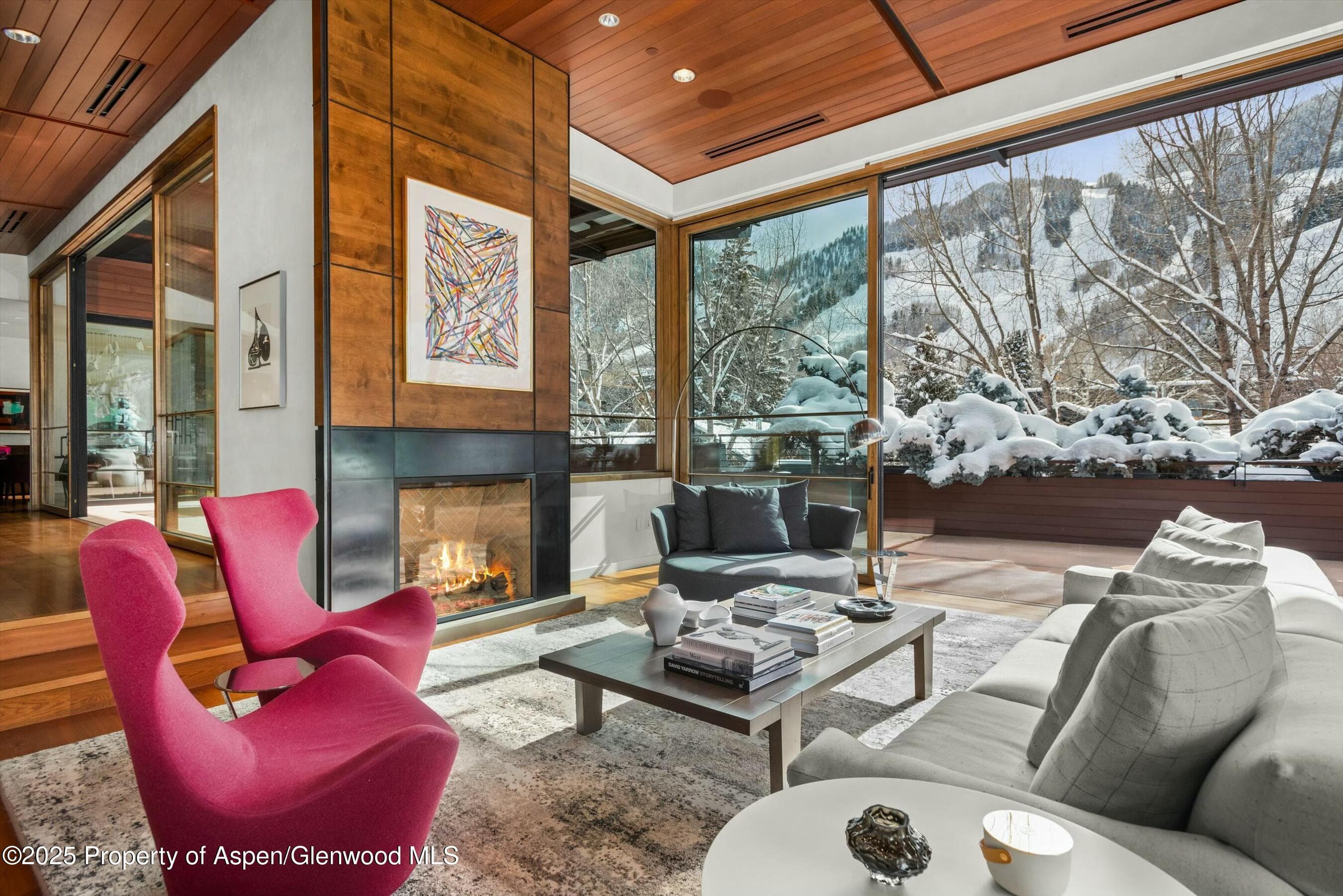 233 E Cooper Avenue 301, Aspen, CO 81611 - Photo 8