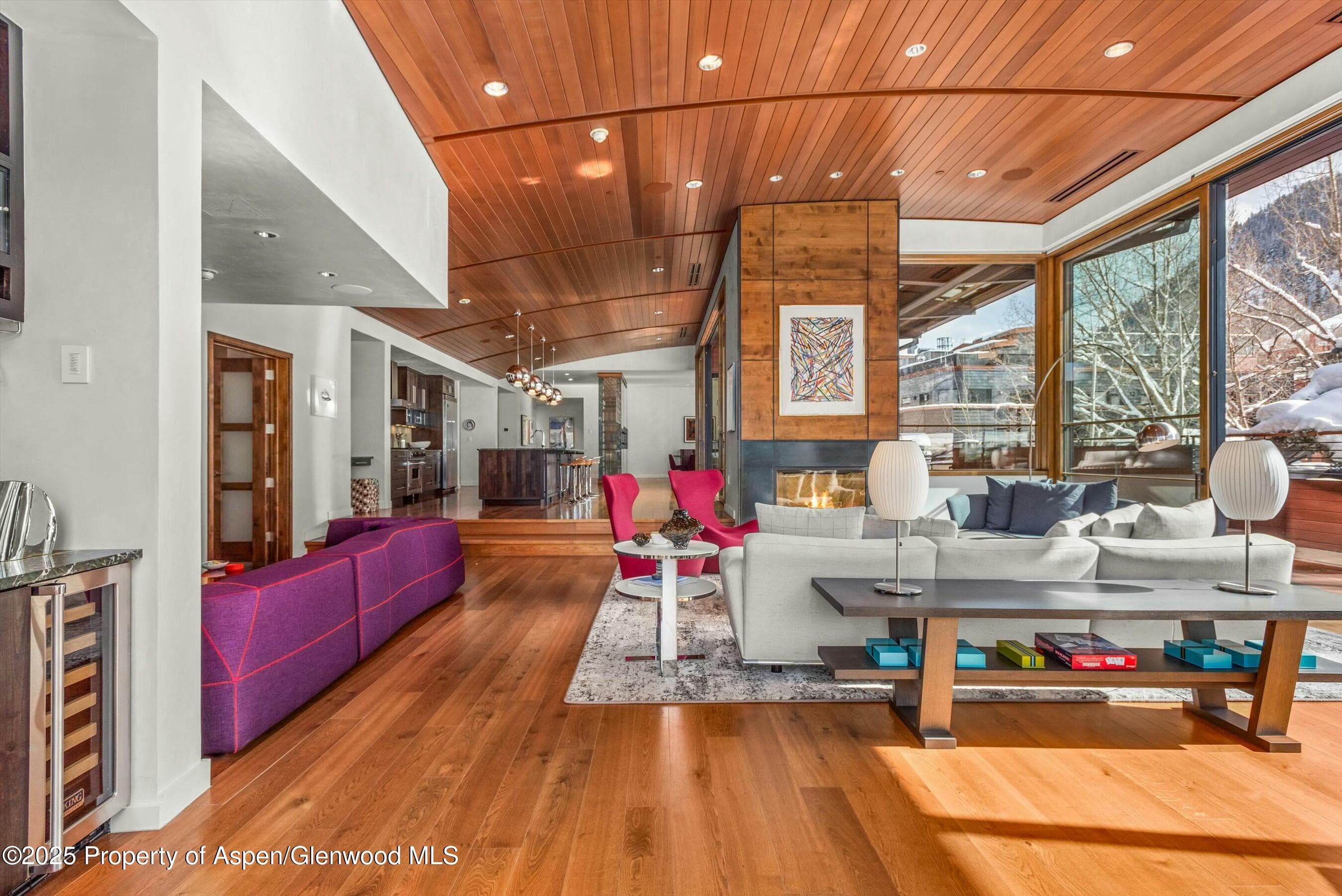233 E Cooper Avenue 301, Aspen, CO 81611 - Photo 7