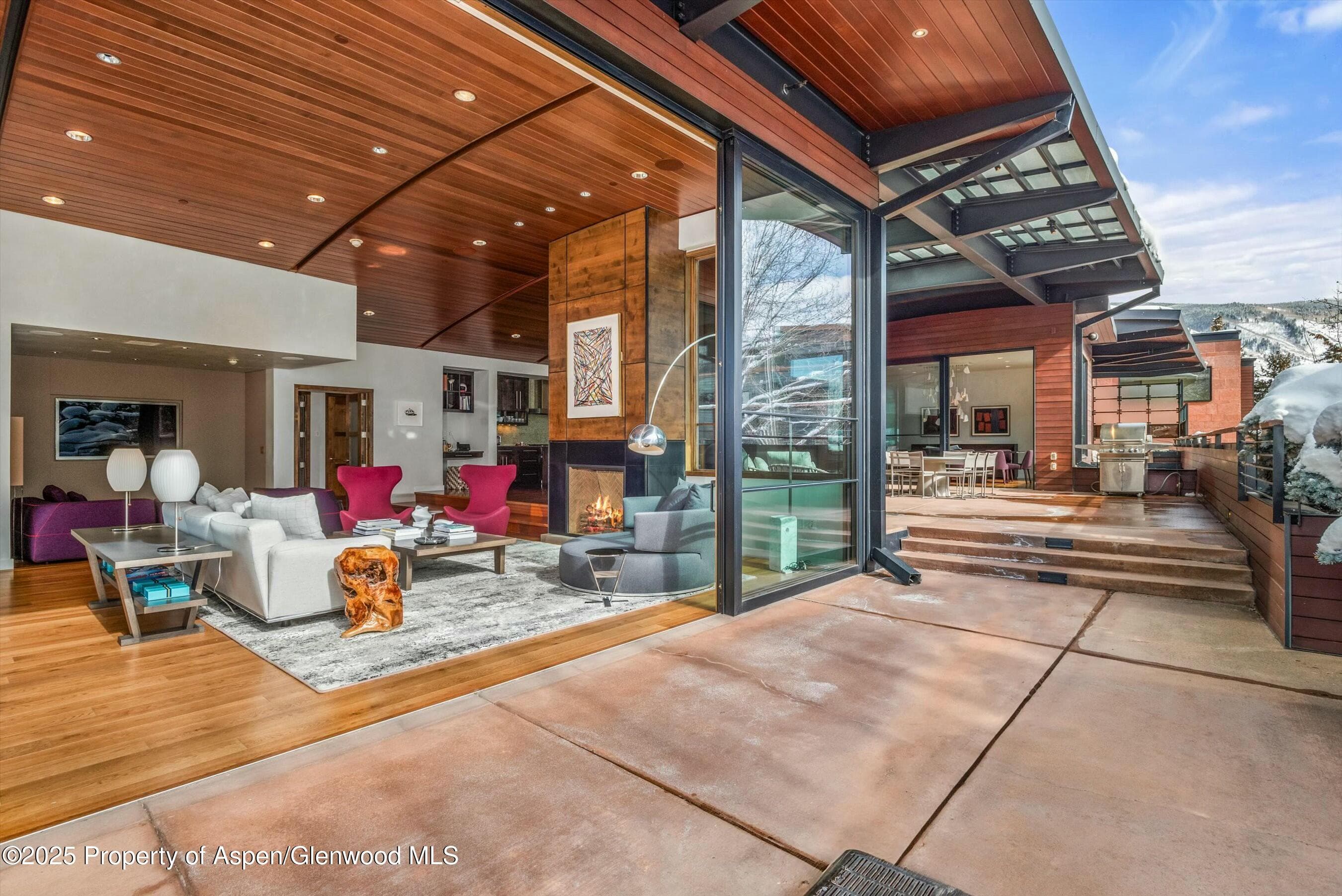 233 E Cooper Avenue 301, Aspen, CO 81611 - Photo 24