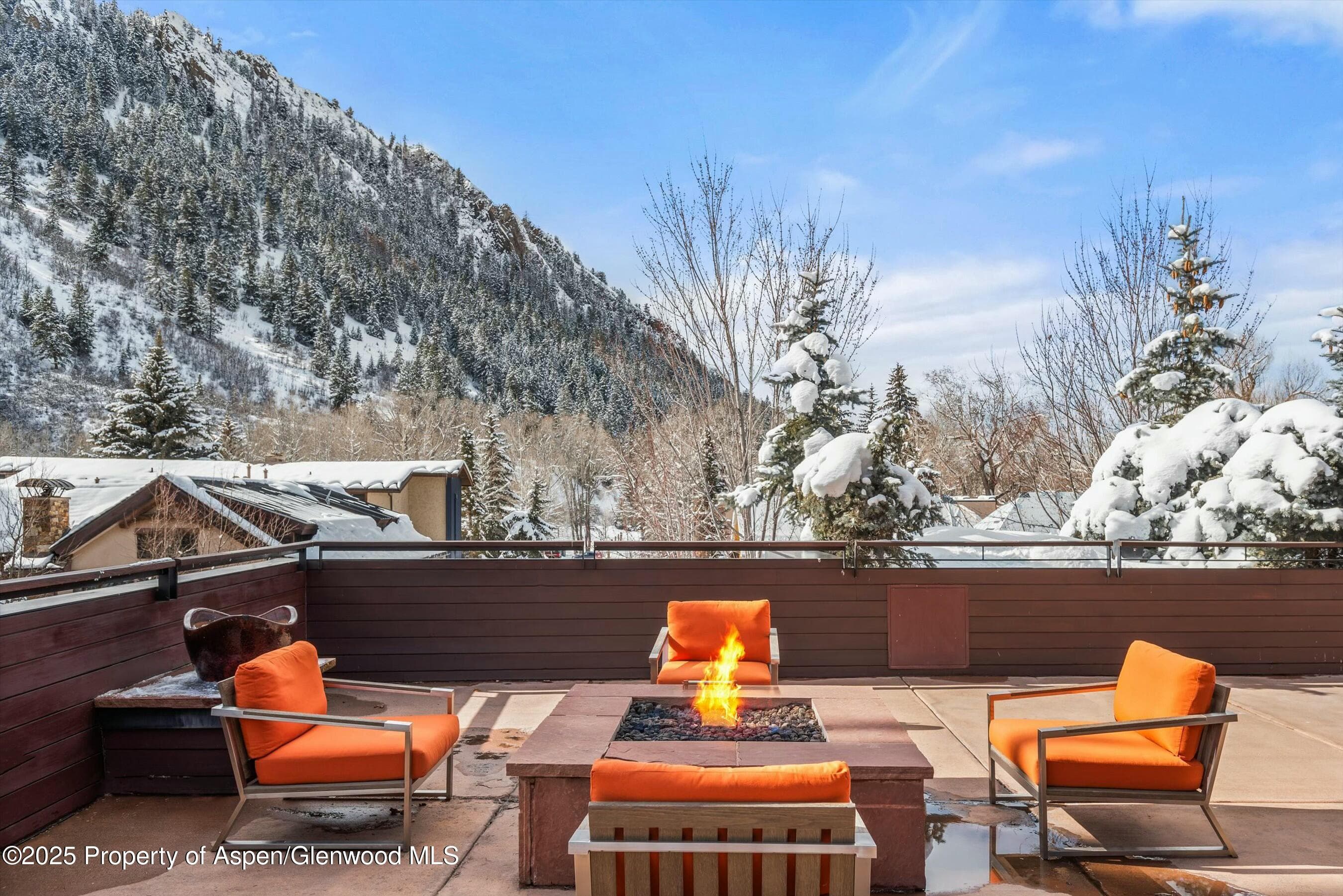233 E Cooper Avenue 301, Aspen, CO 81611 - Photo 26