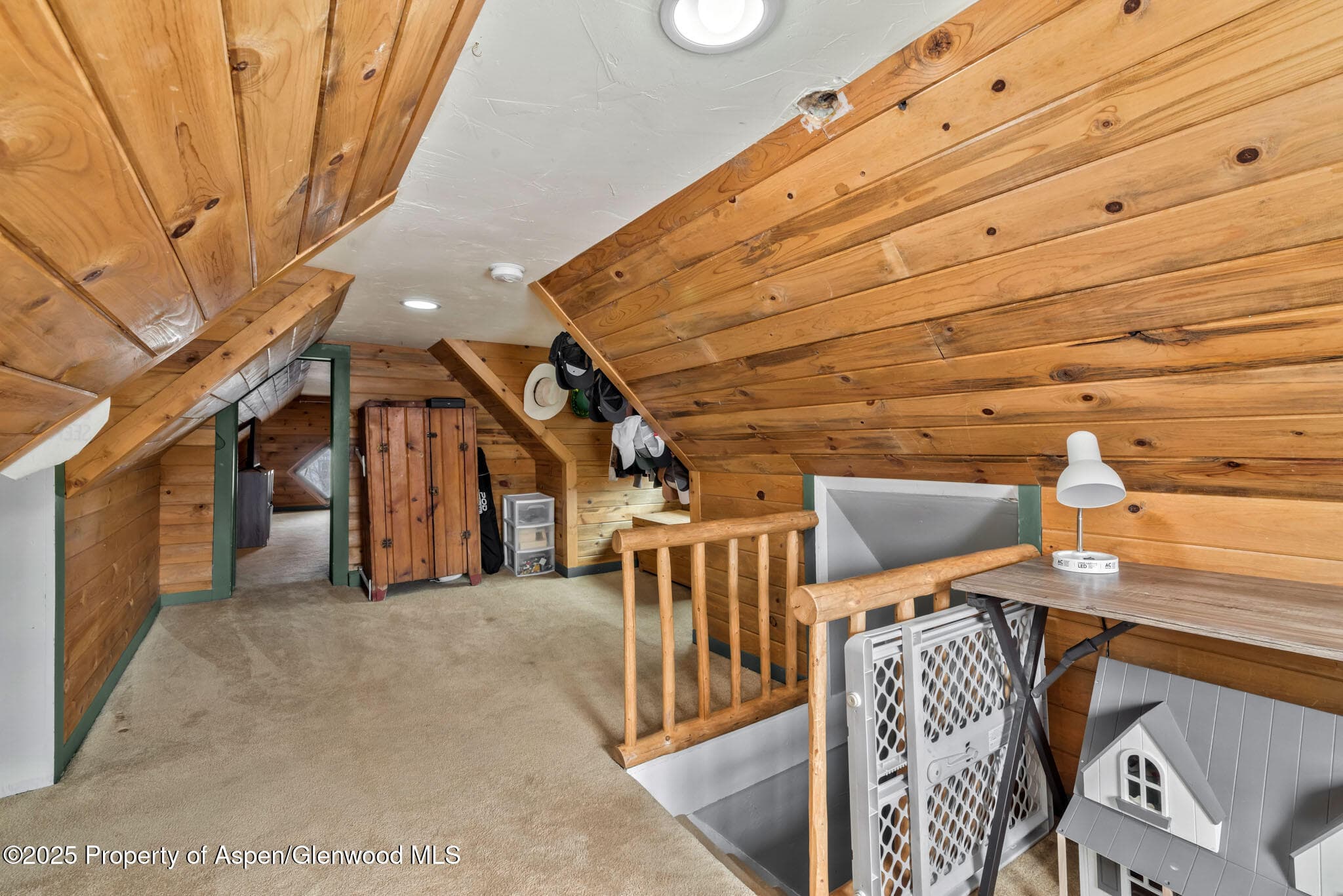 609 E JEFFERSON Avenue, Hayden, CO 81639 - Photo 17