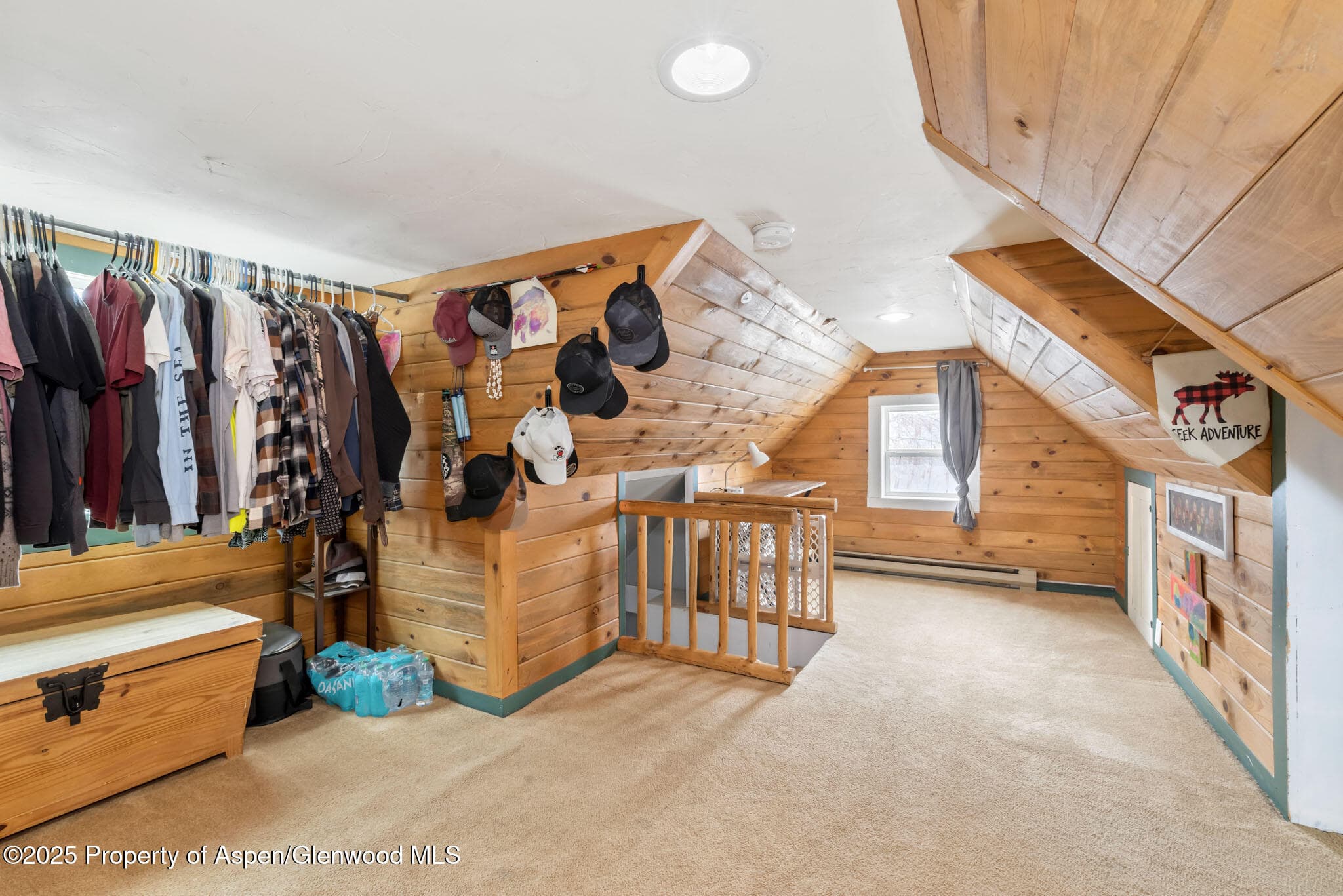 609 E JEFFERSON Avenue, Hayden, CO 81639 - Photo 18