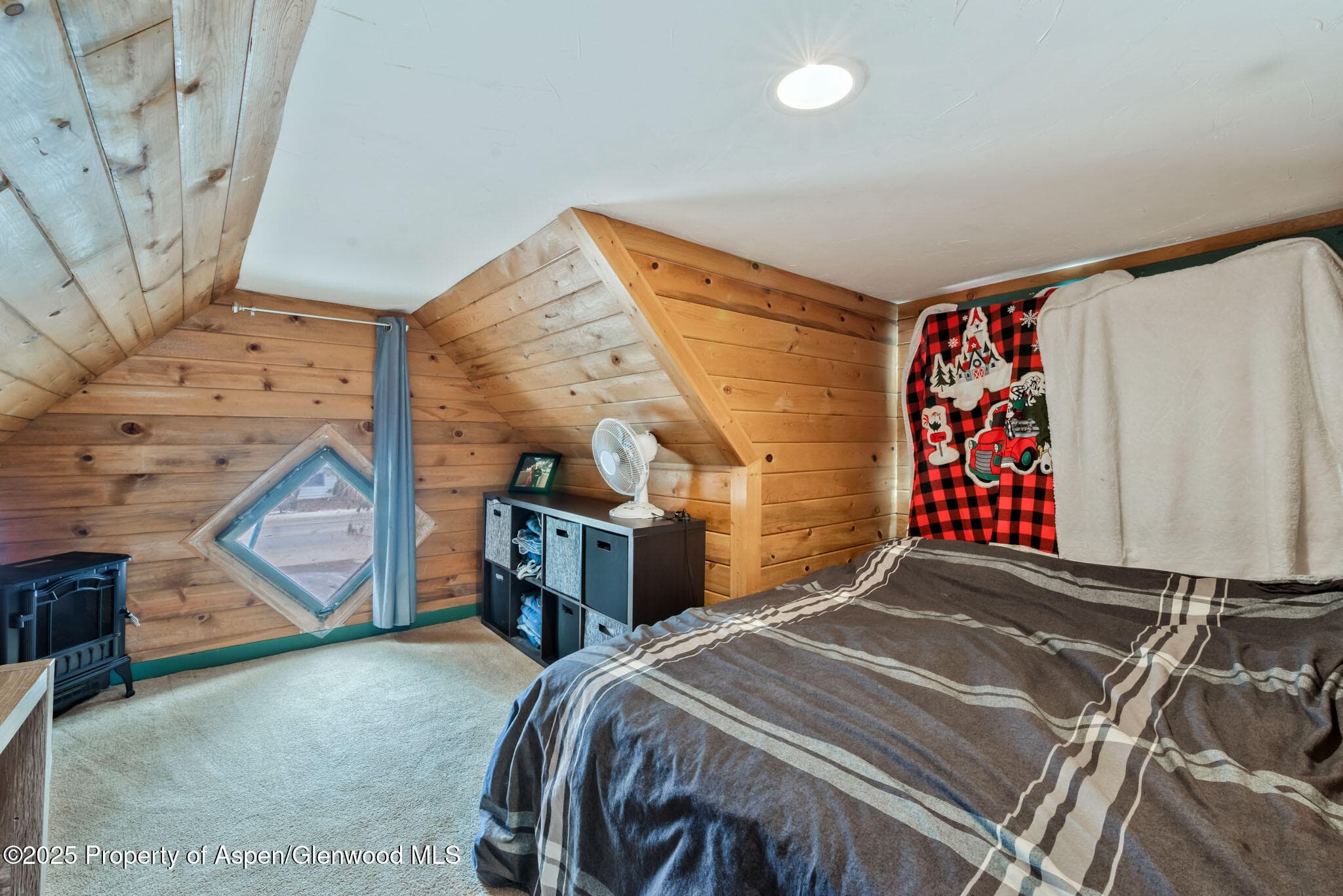 609 E JEFFERSON Avenue, Hayden, CO 81639 - Photo 23