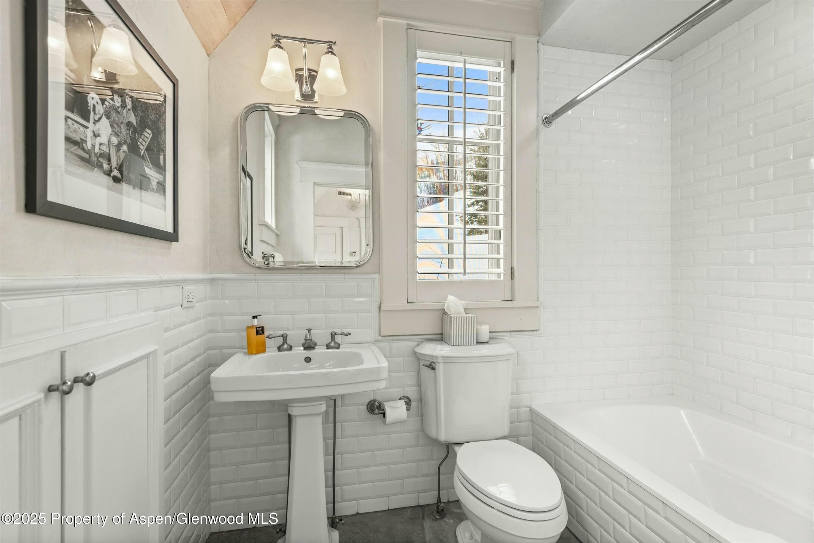 99 Steeplechase Drive, Aspen, CO 81611 - Photo 49
