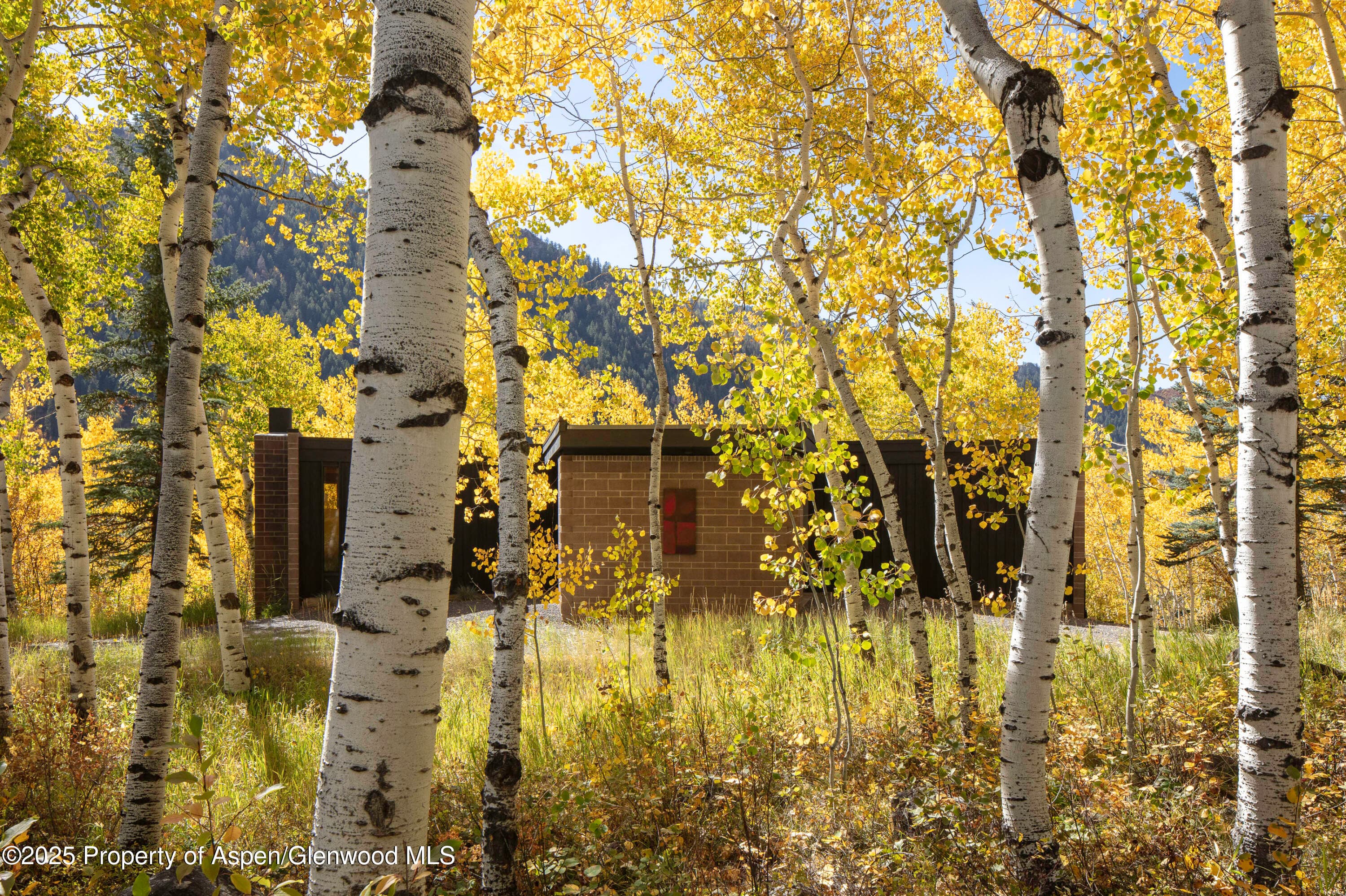 258 Roaring Fork Drive, Aspen, CO 81611 - Photo 2