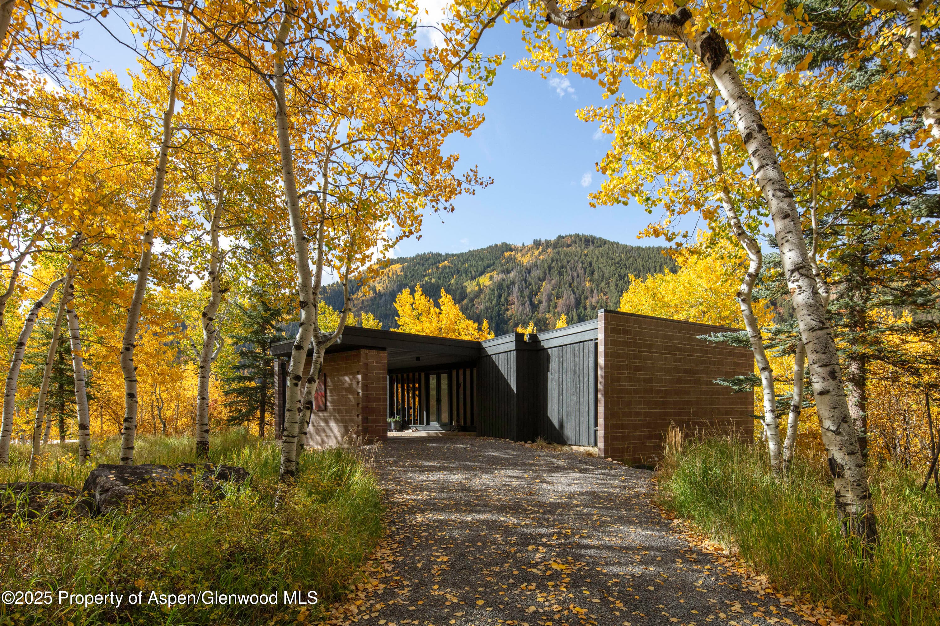 258 Roaring Fork Drive, Aspen, CO 81611 - Photo 1