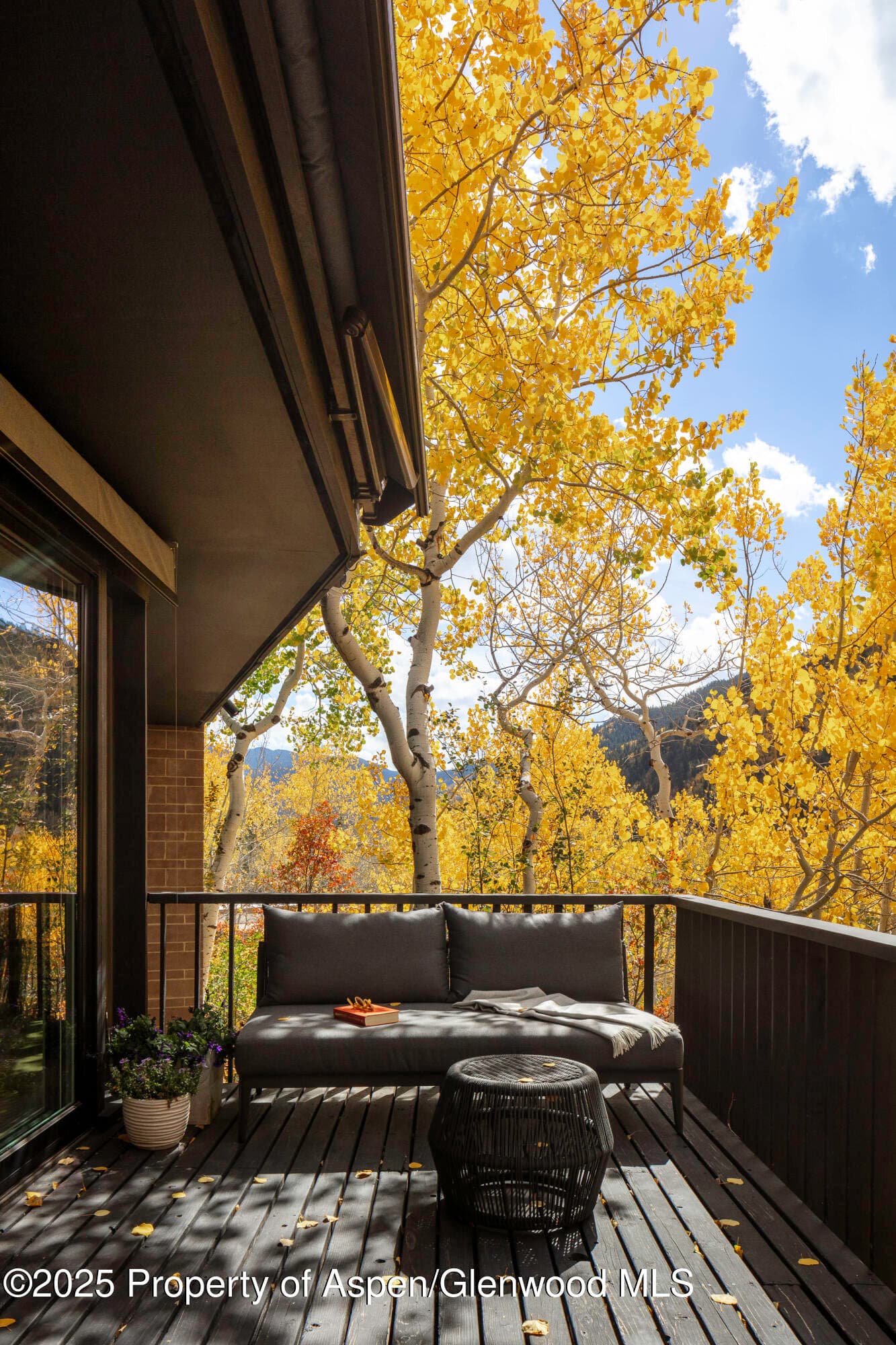 258 Roaring Fork Drive, Aspen, CO 81611 - Photo 7
