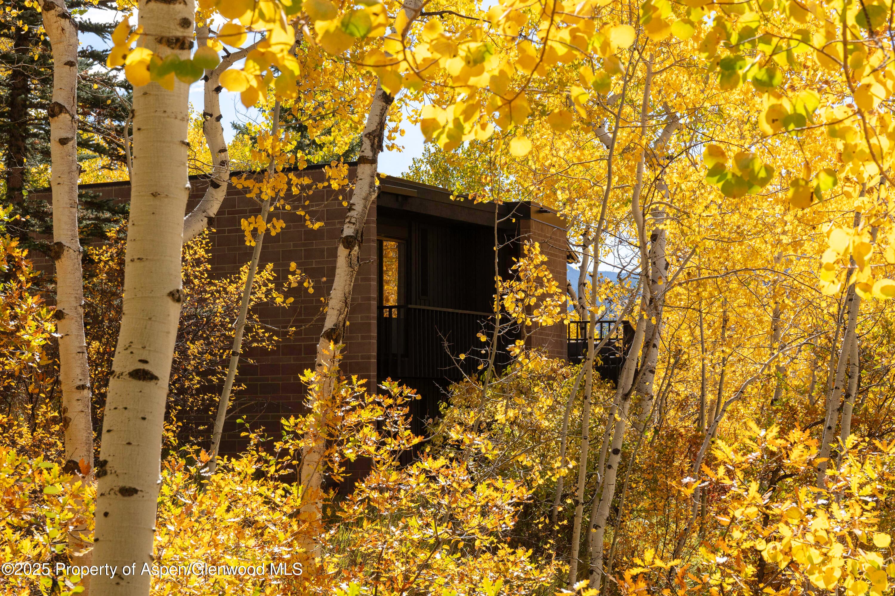 258 Roaring Fork Drive, Aspen, CO 81611 - Photo 13