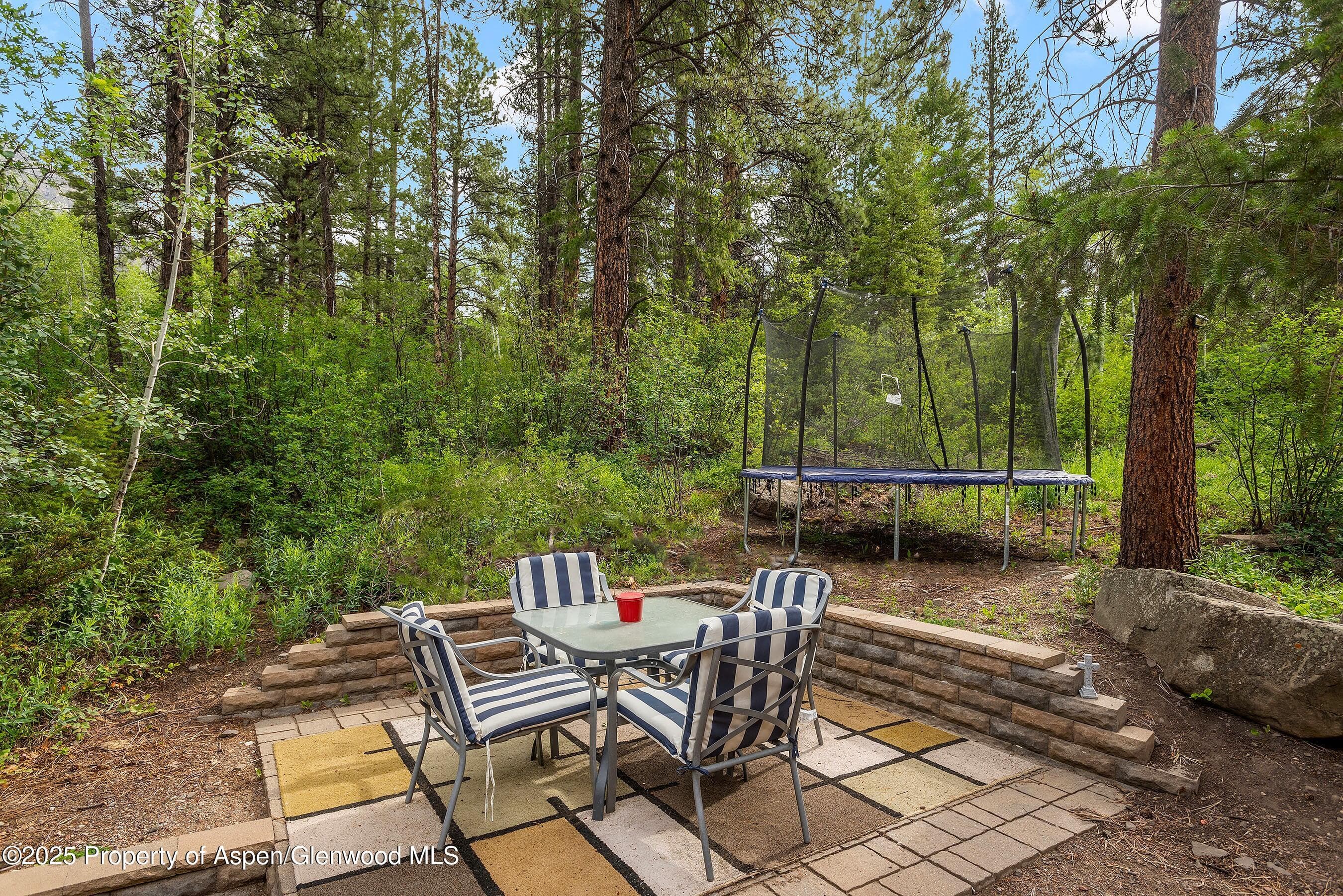 711 W Park Street, Marble, CO 81623 - Photo 23