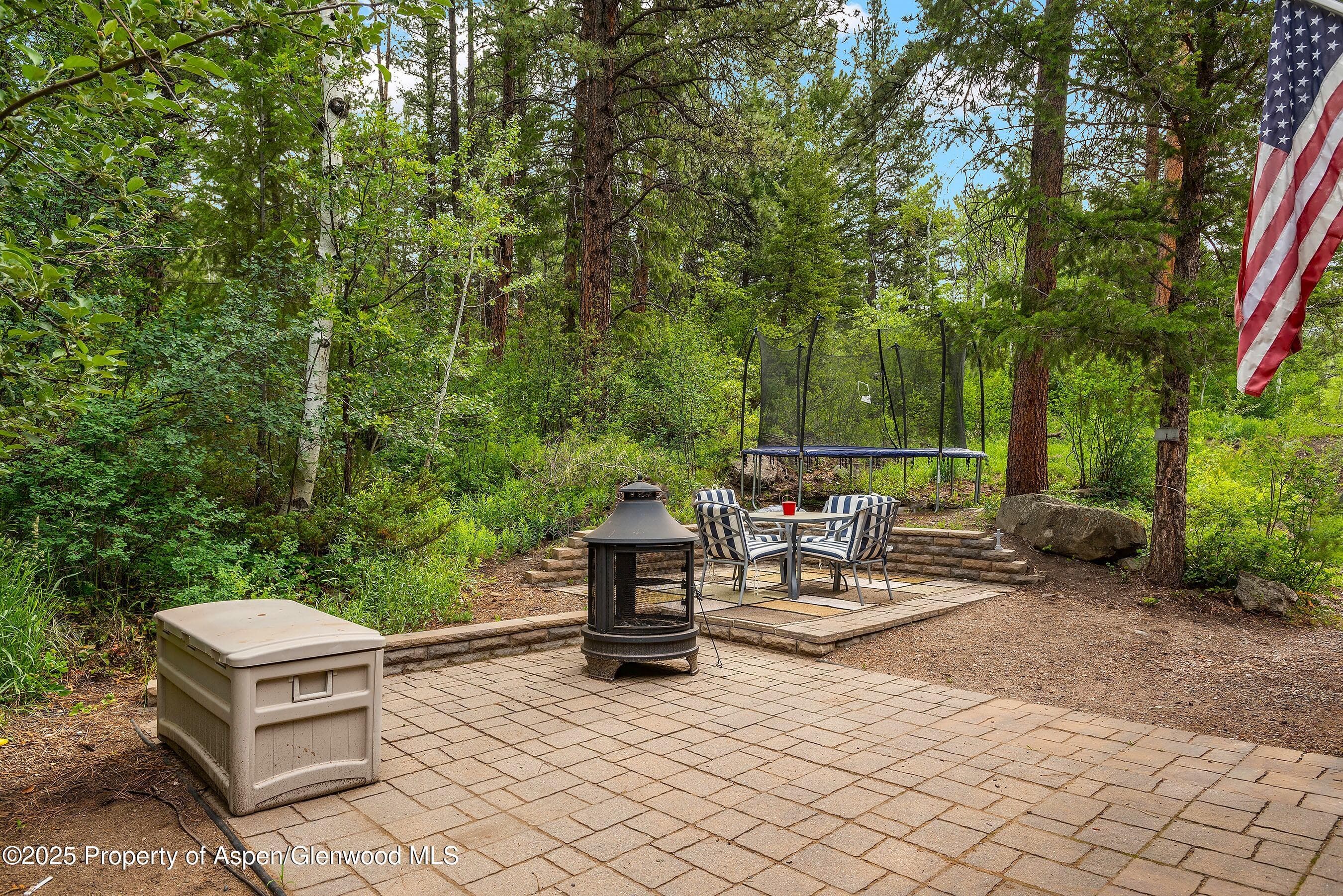 711 W Park Street, Marble, CO 81623 - Photo 24