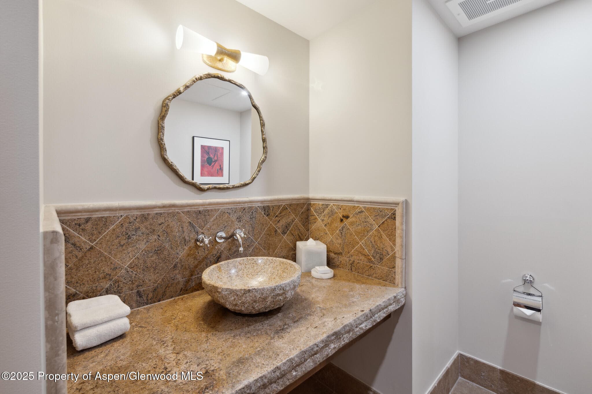 415 E Dean St, Unit 49 Week 33, Aspen, CO 81611 - Photo 12