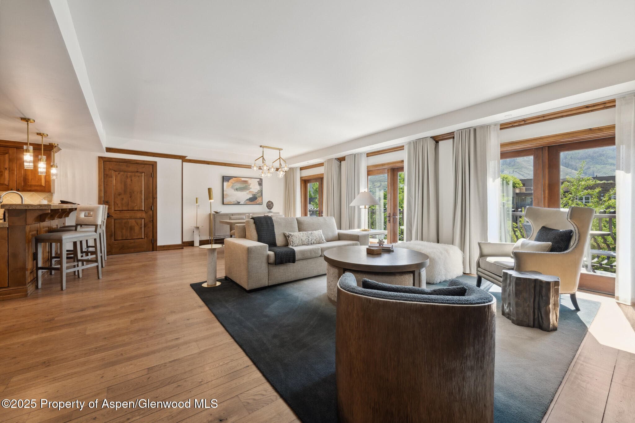 415 E Dean St, Unit 49 Week 33, Aspen, CO 81611 - Photo 4