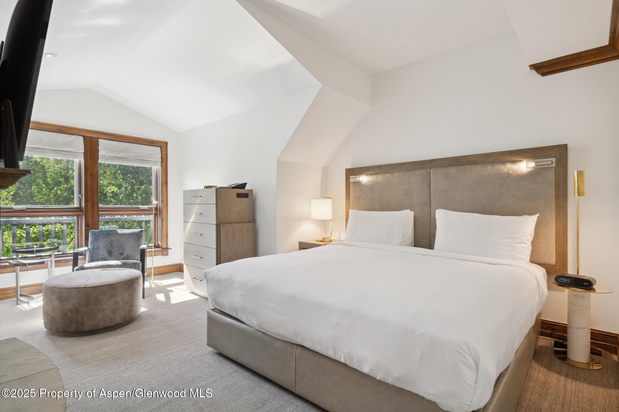 415 E Dean St, Unit 49 Week 33, Aspen, CO 81611 - Photo 13