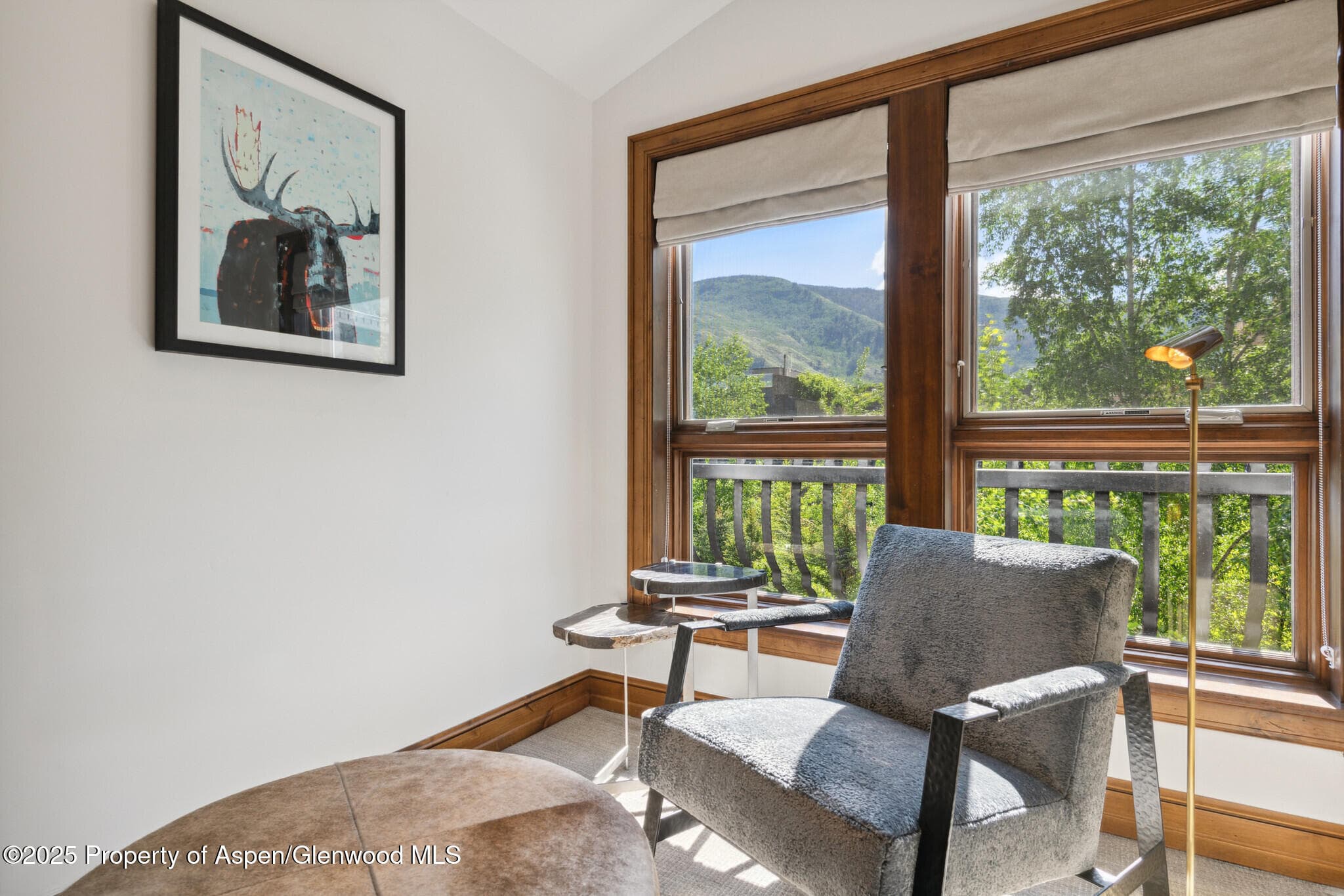 415 E Dean St, Unit 49 Week 33, Aspen, CO 81611 - Photo 15