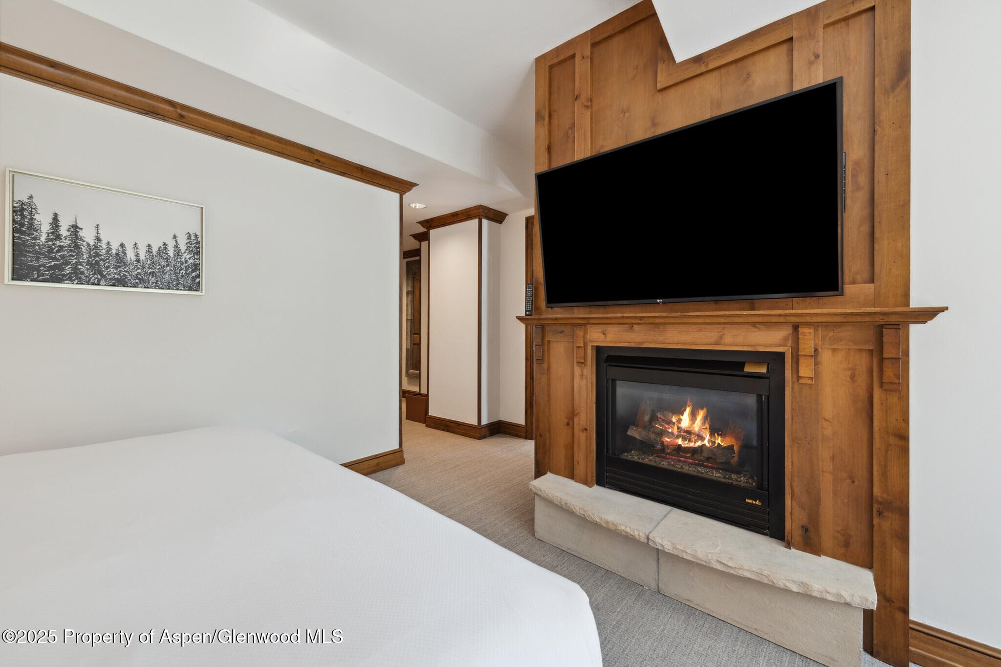 415 E Dean St, Unit 49 Week 33, Aspen, CO 81611 - Photo 14