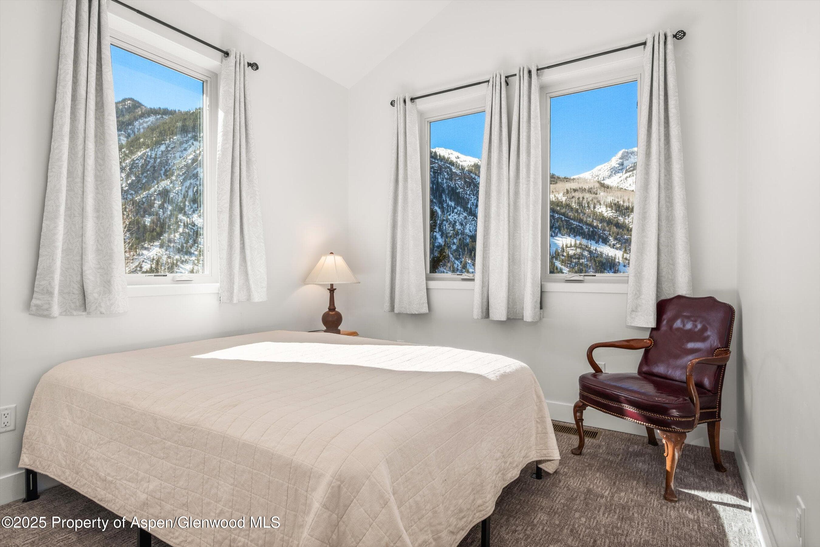 787 Serpentine Trl, Marble, CO 81623 - Photo 22