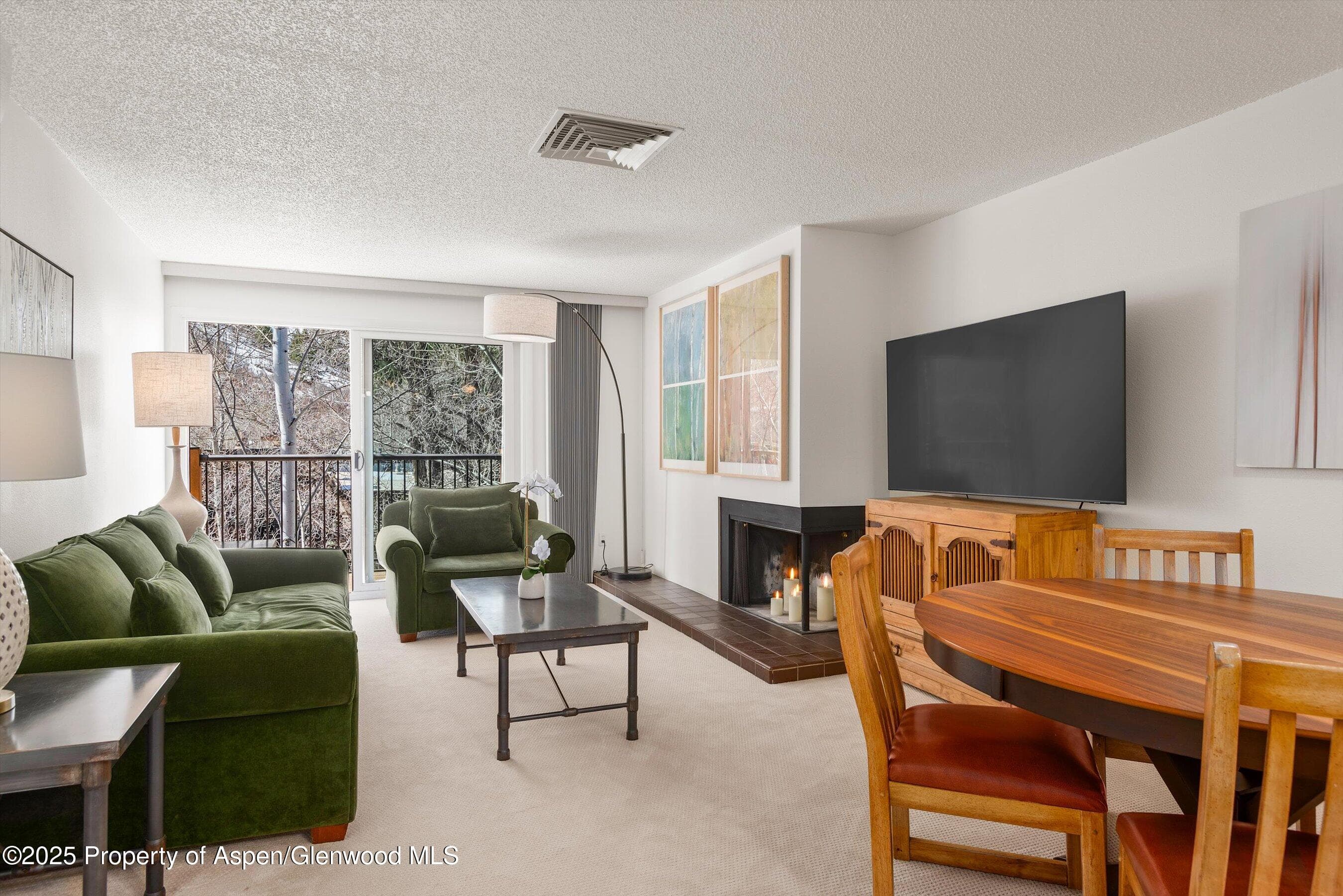205 E Durant Avenue 3e, Aspen, CO 81611