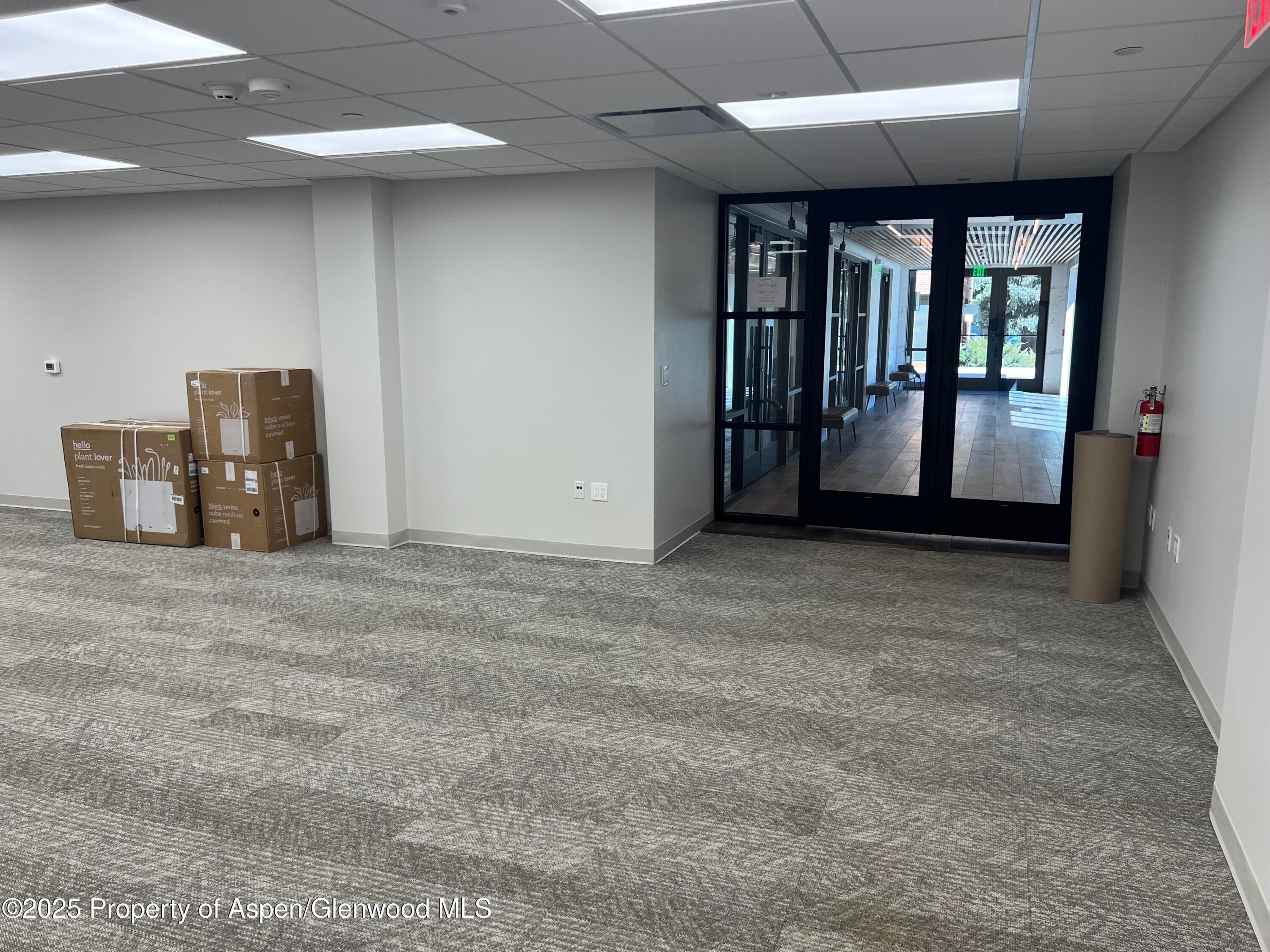 201 N Mill Street Unit 101-D, Aspen, CO 81611 - Photo 6