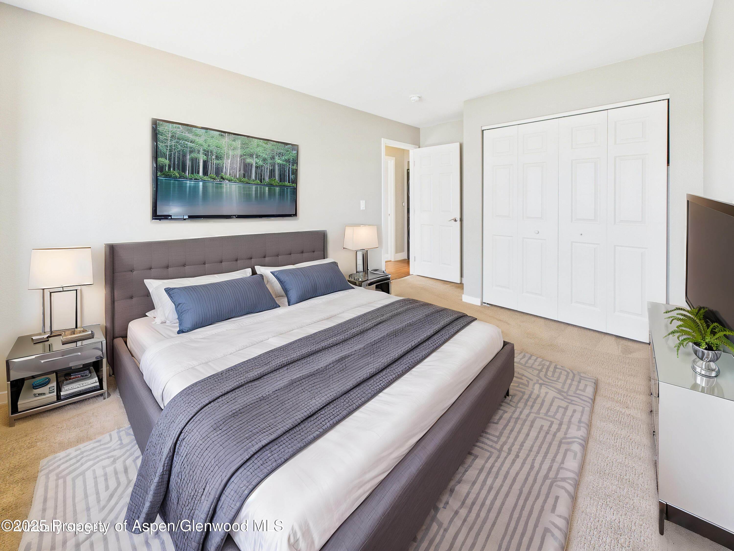 1127 Cara Ct, Carbondale, CO 81623 - Photo 20