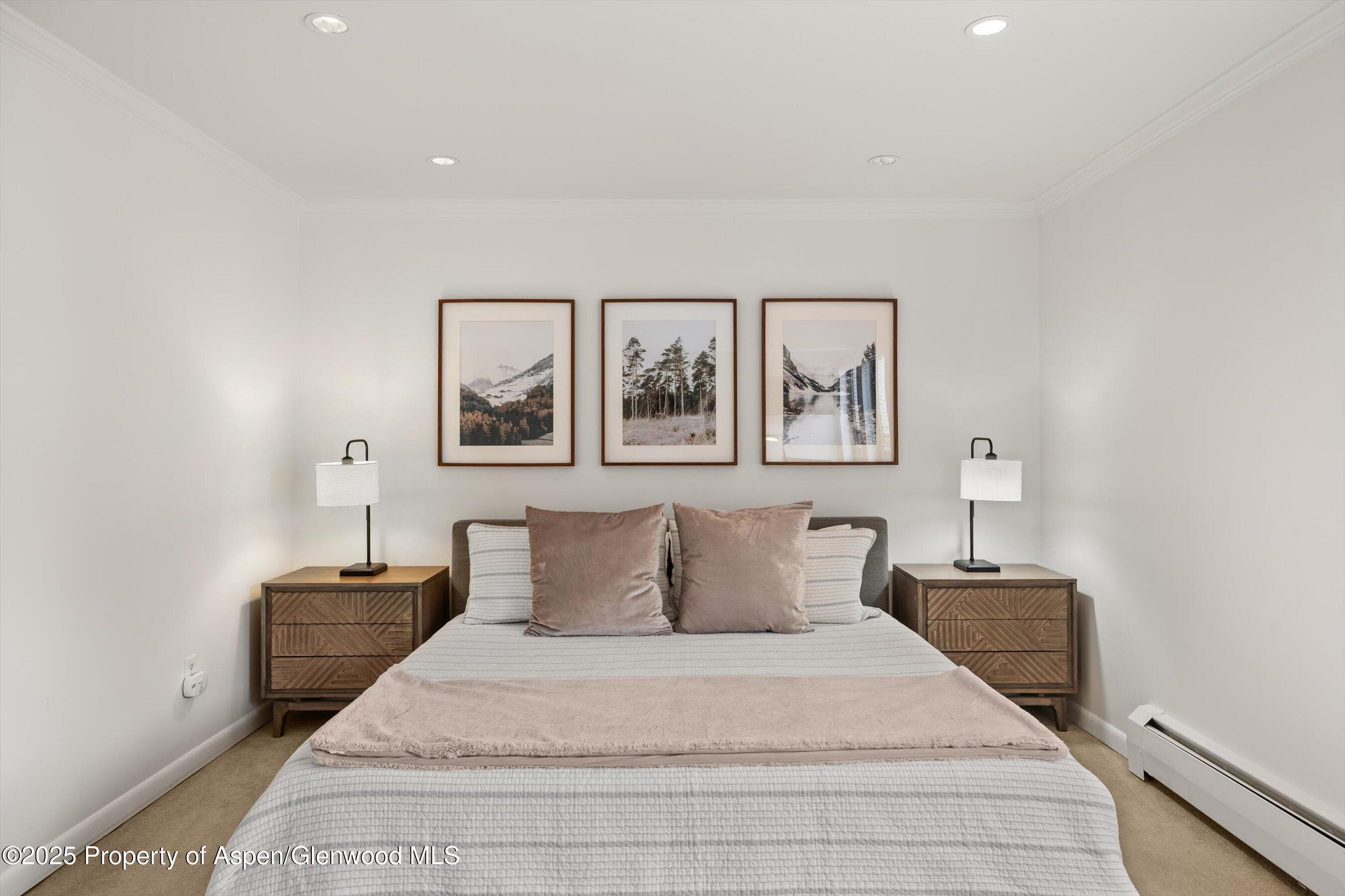 980 E HYMAN Avenue 3, Aspen, CO 81611 - Photo 10
