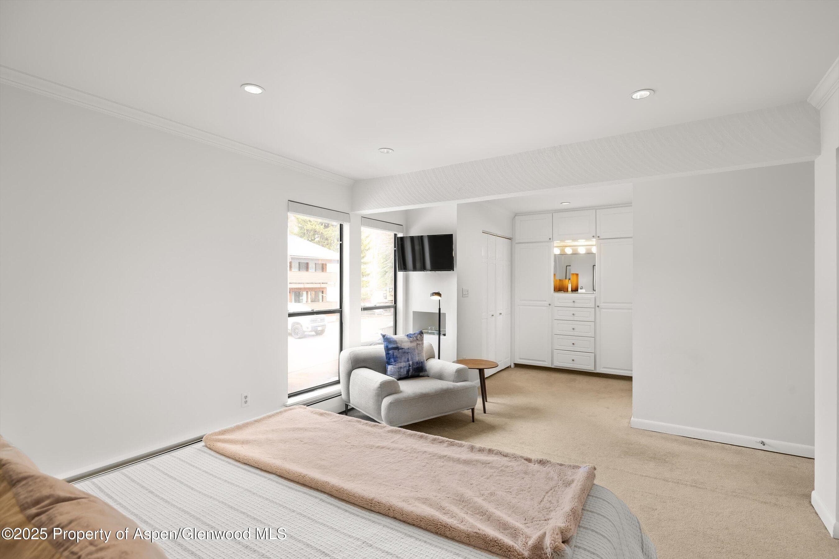 980 E HYMAN Avenue 3, Aspen, CO 81611 - Photo 11